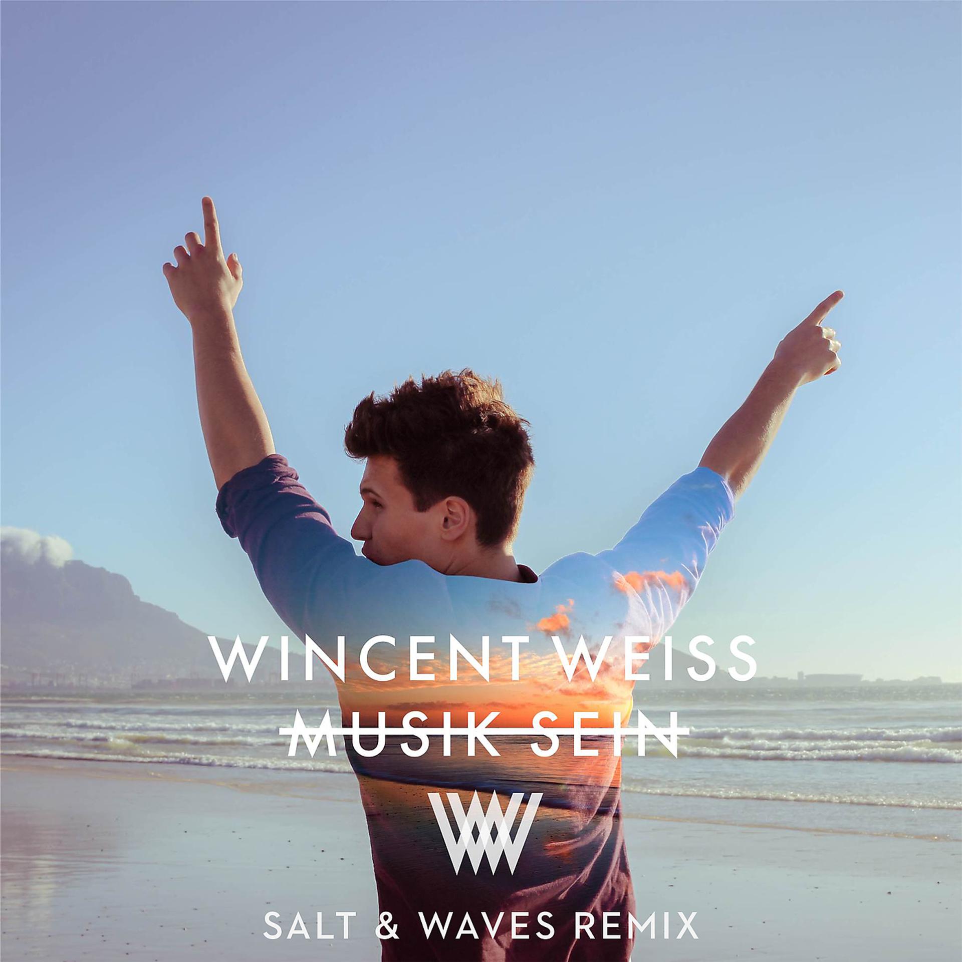 Постер альбома Musik sein