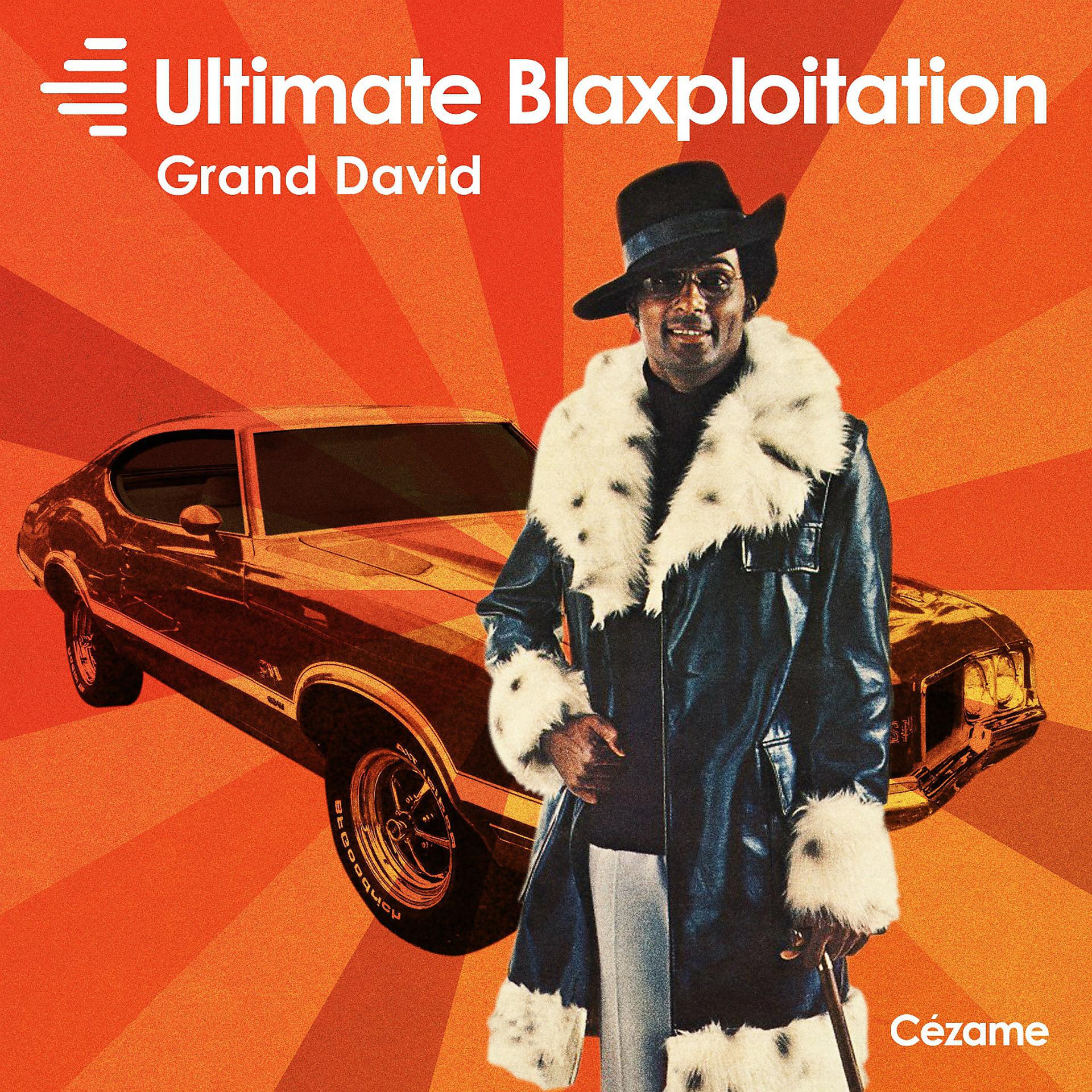 Постер альбома Ultimate Blaxploitation