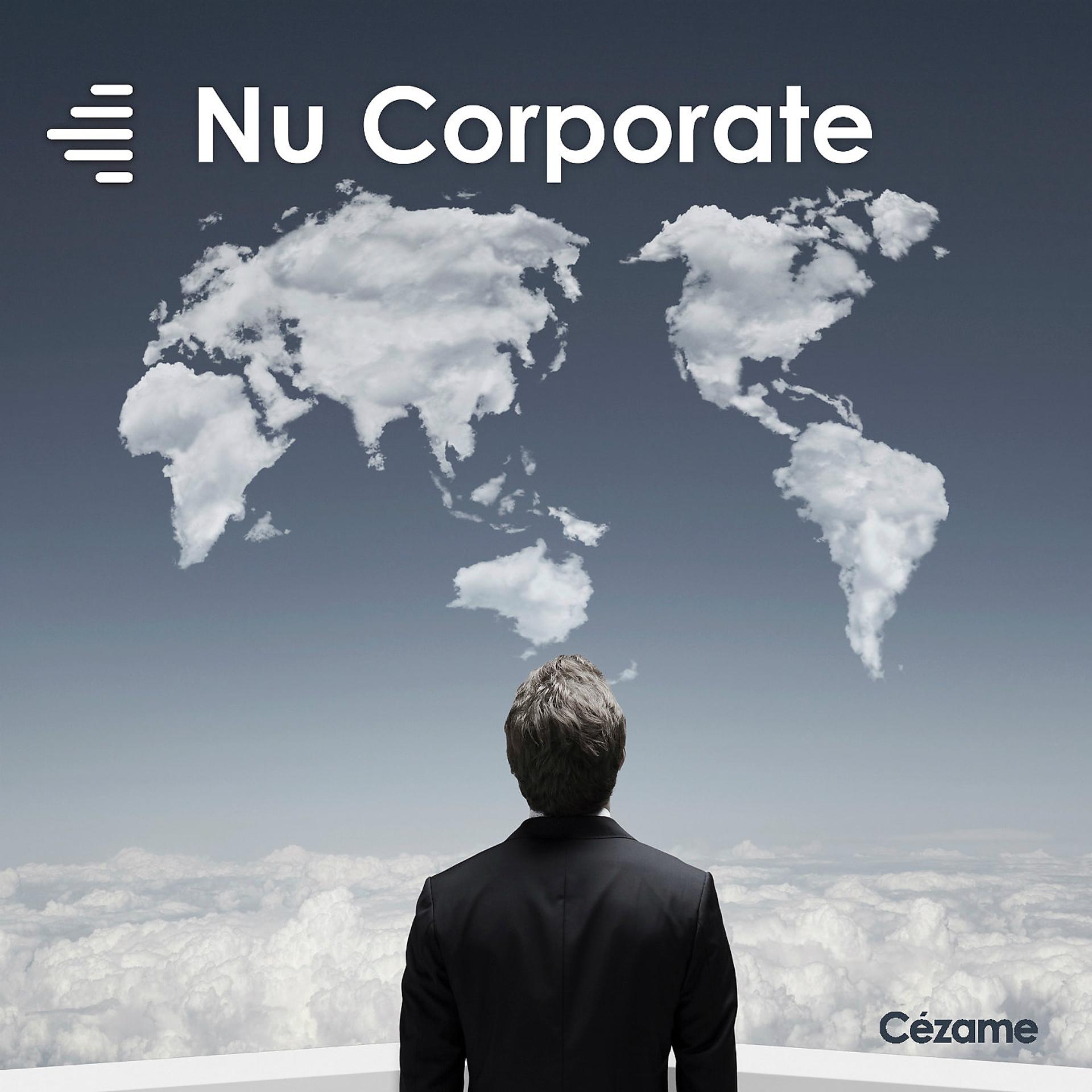 Постер альбома Nu Corporate