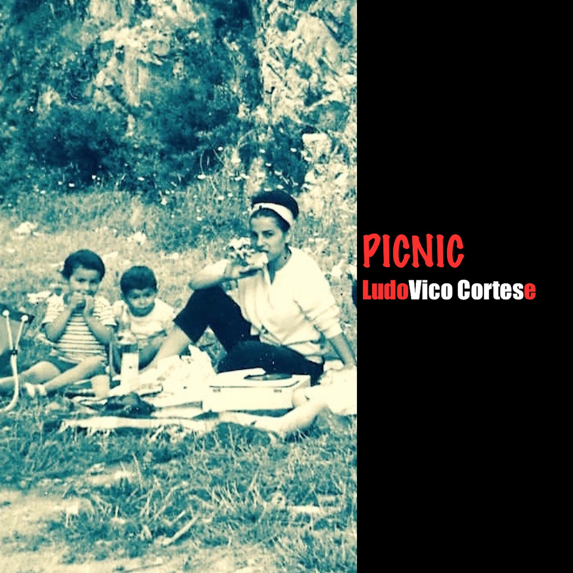 Постер альбома Picnic