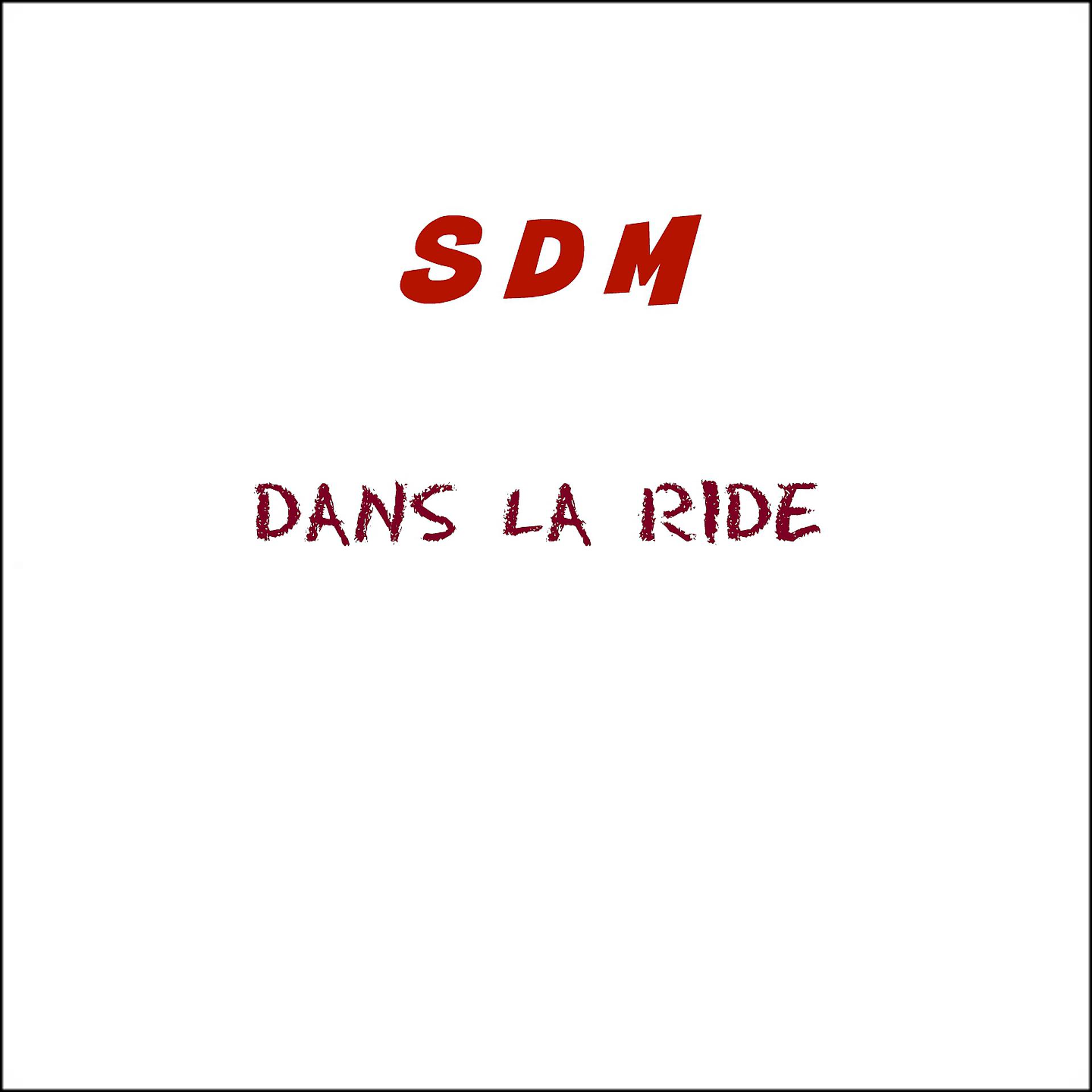 Постер альбома Dans la ride