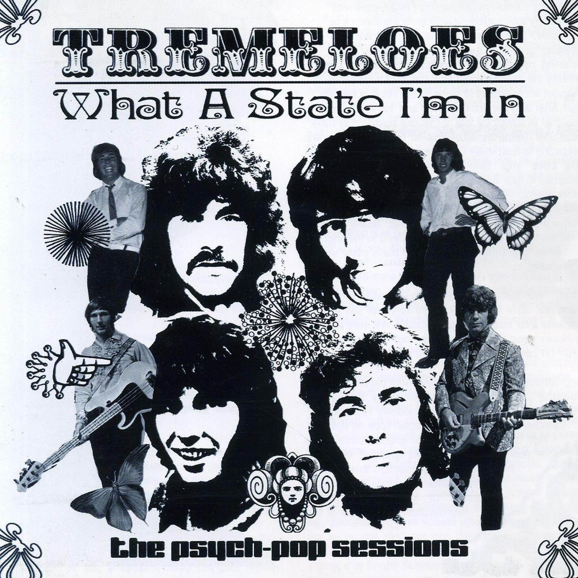 Постер альбома What a State I'm In: The Psych-Pop Sessions