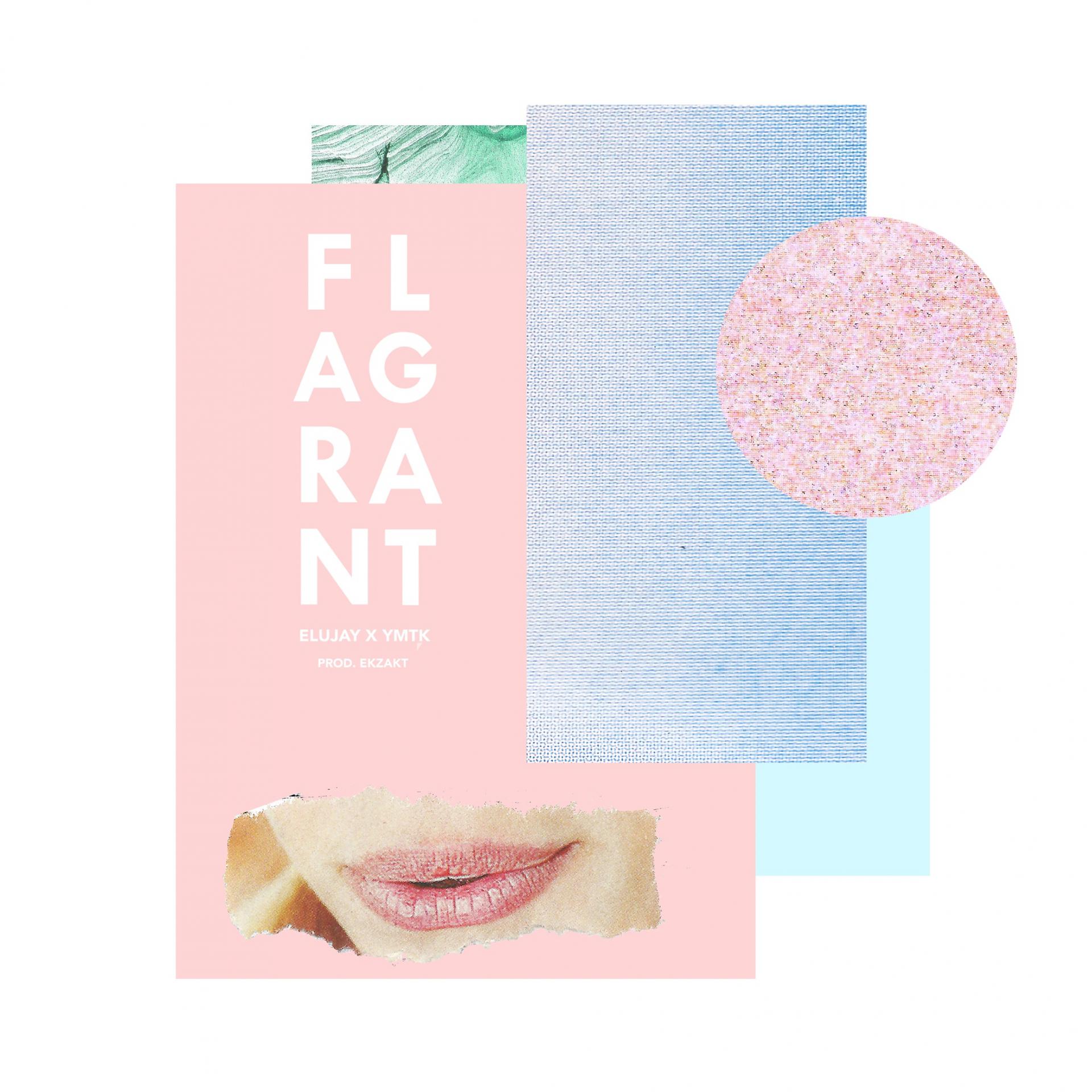 Постер альбома Flagrant (feat. Ymtk) - Single