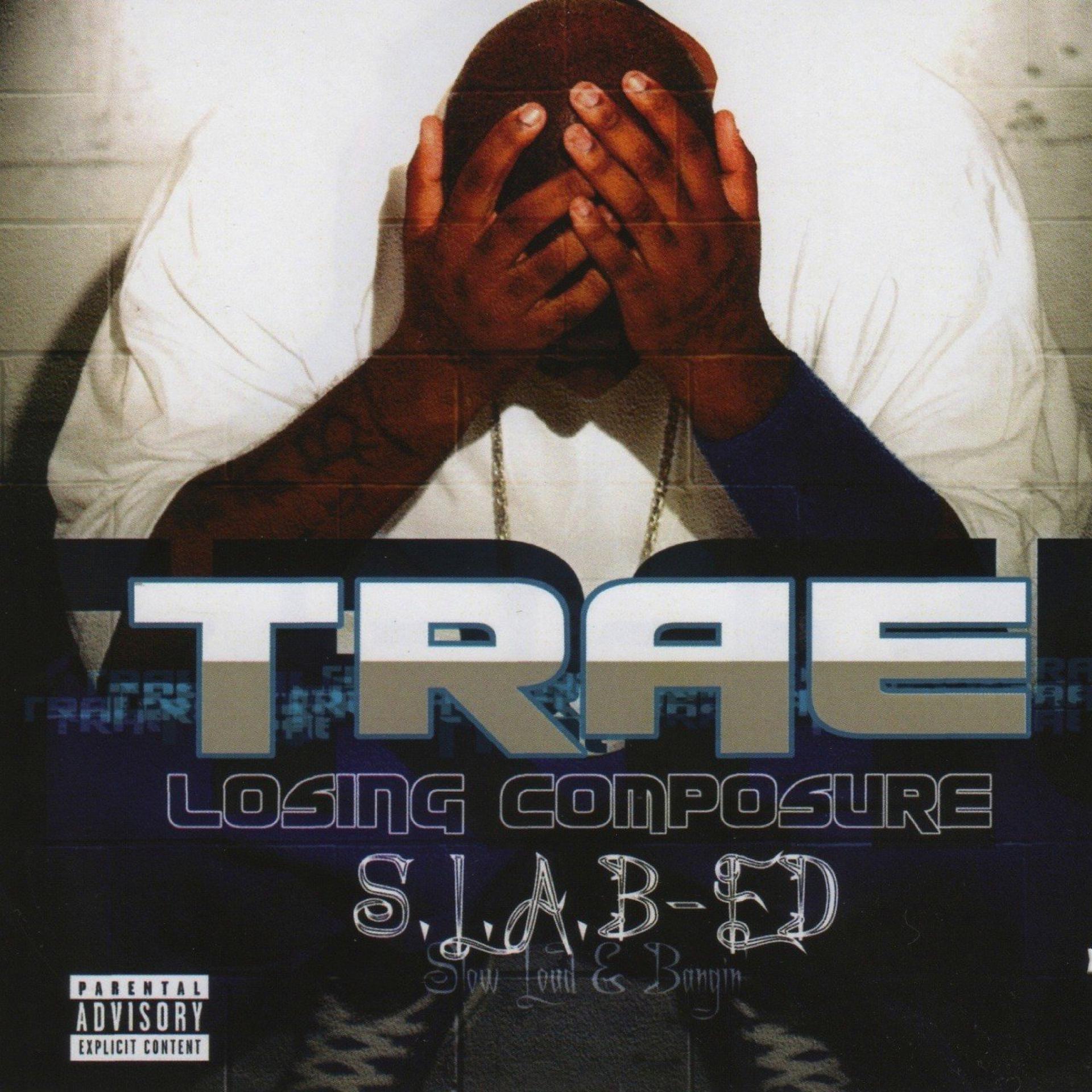 Постер альбома Losing Composure (S.L.A.B.ed)