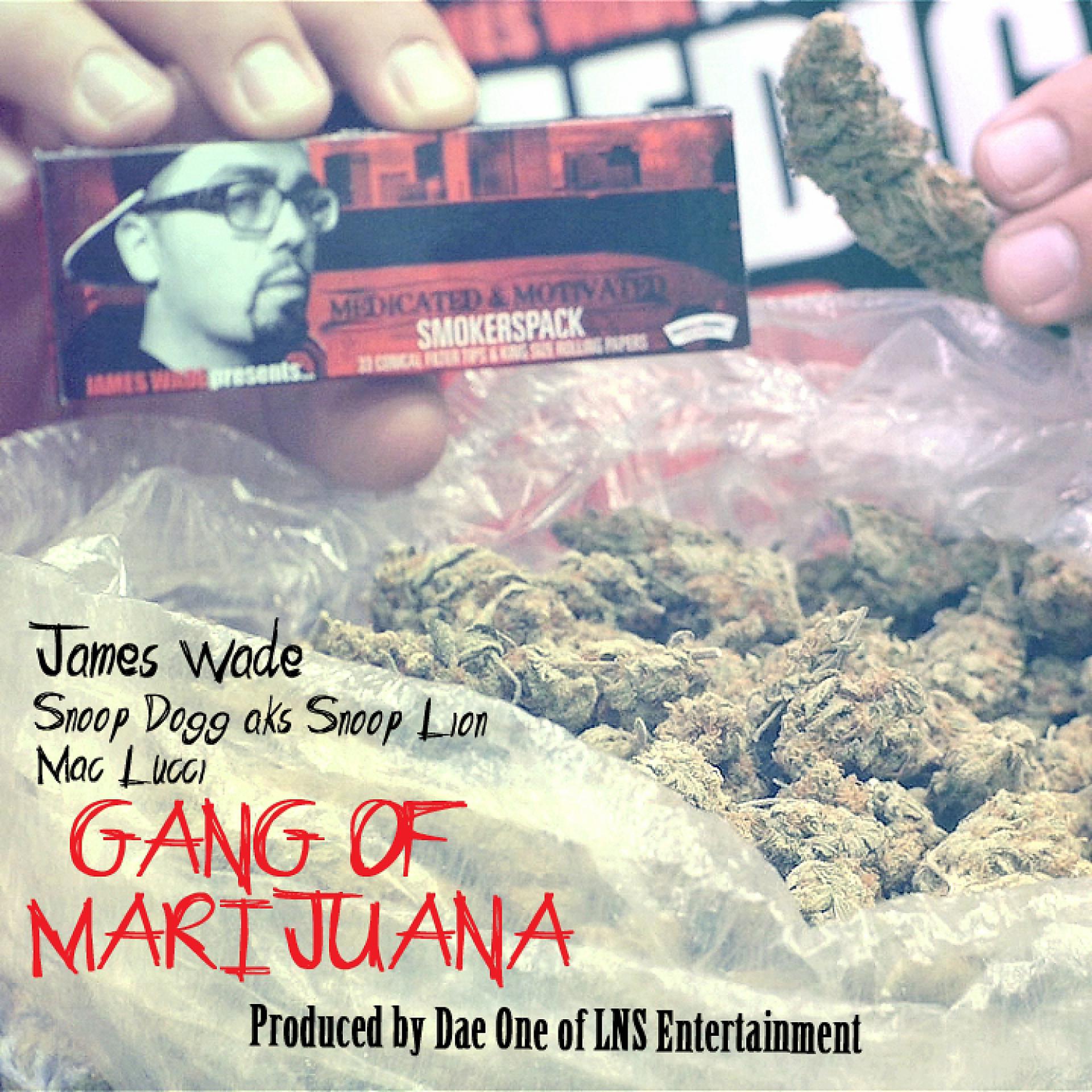 Постер альбома Gang Of Marijuana (feat. Mac Lucci) - Single