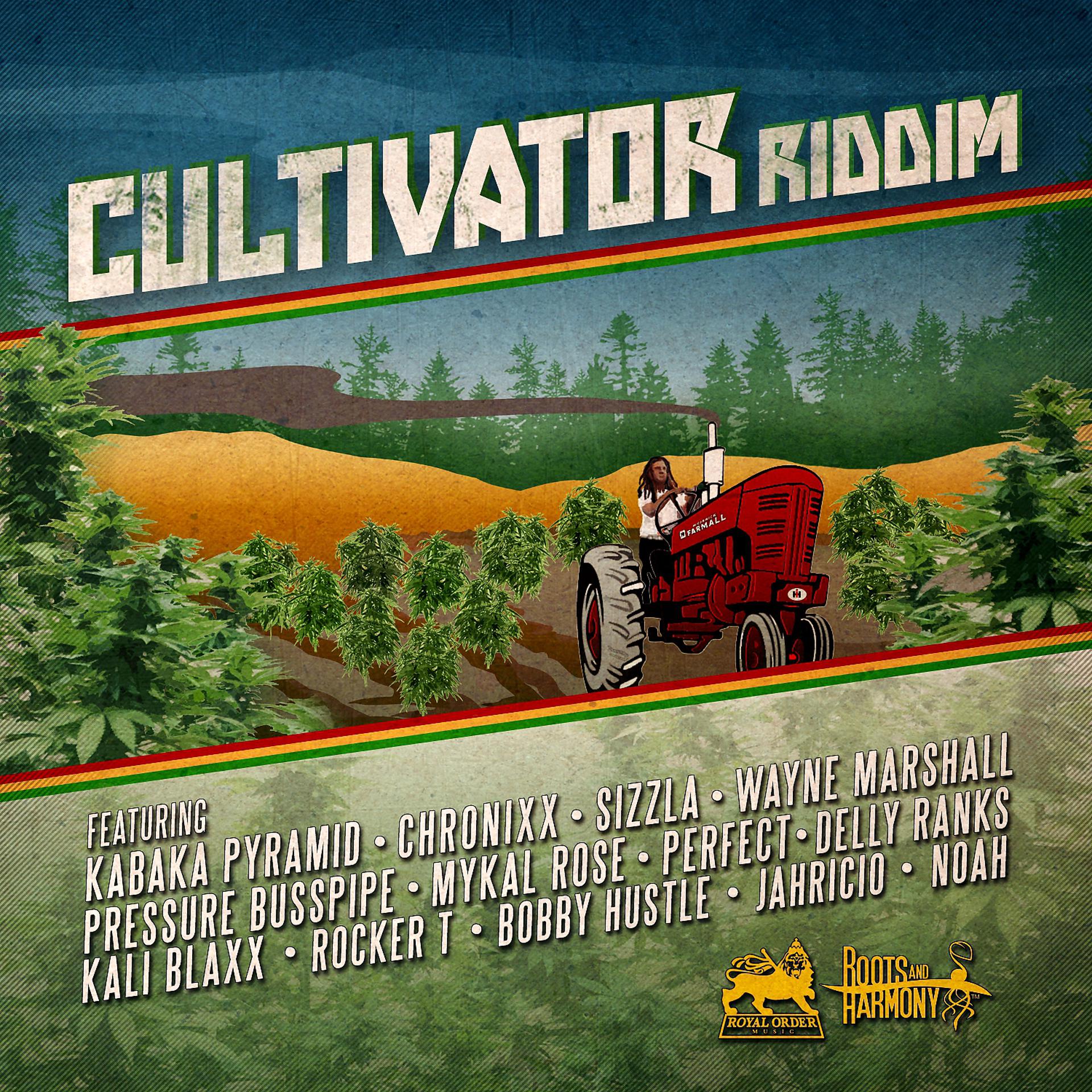 Постер альбома Cultivator Riddim