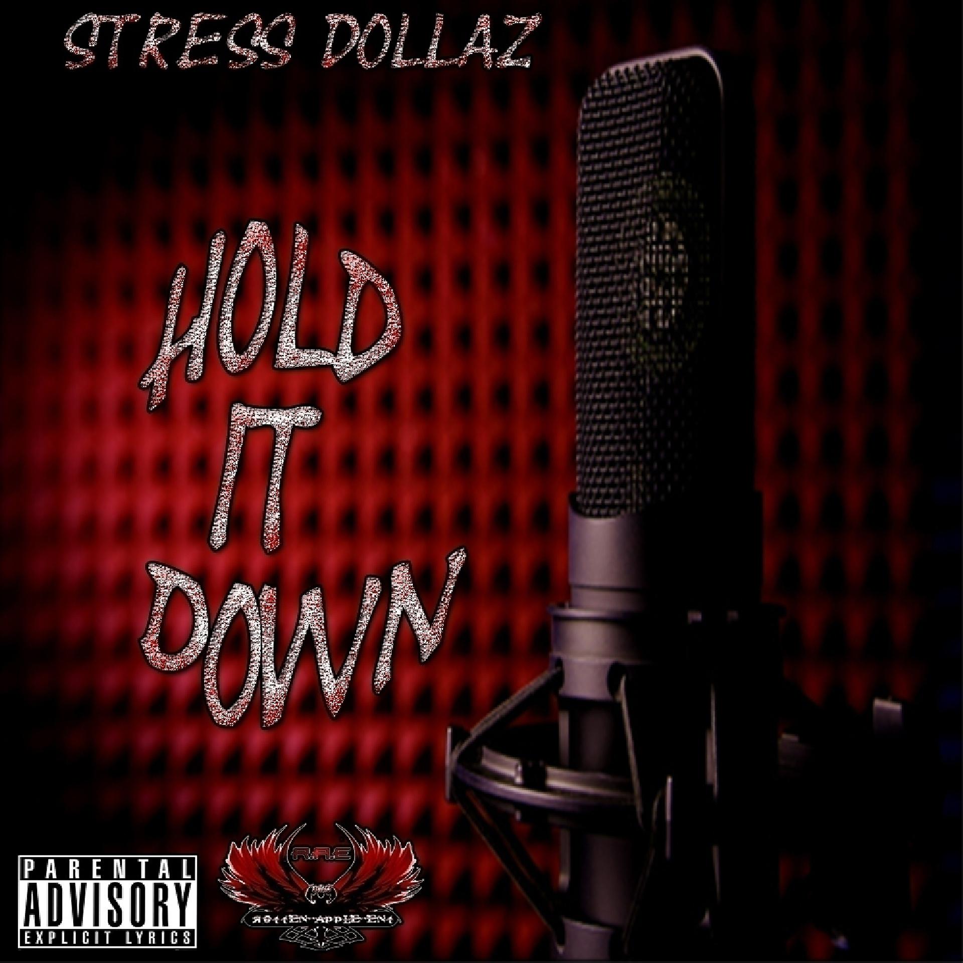 Постер альбома Hold It Down - Single