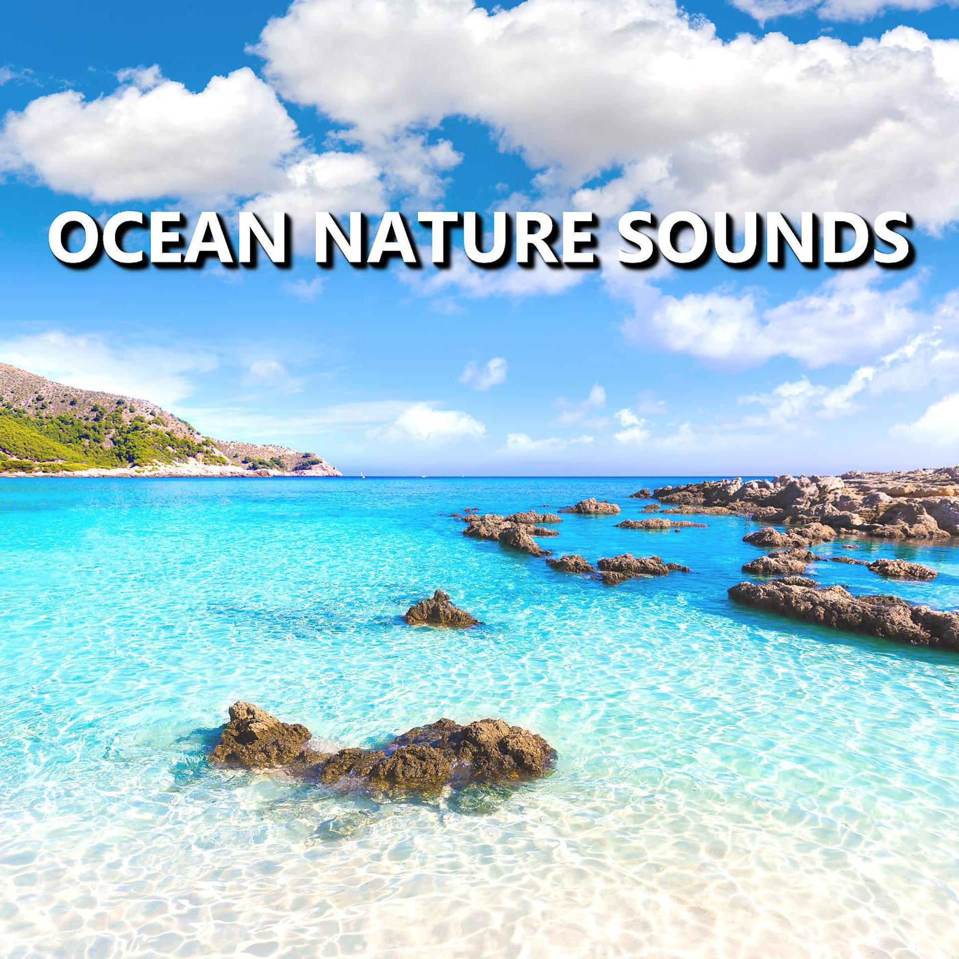 Постер альбома Ocean Nature Sounds