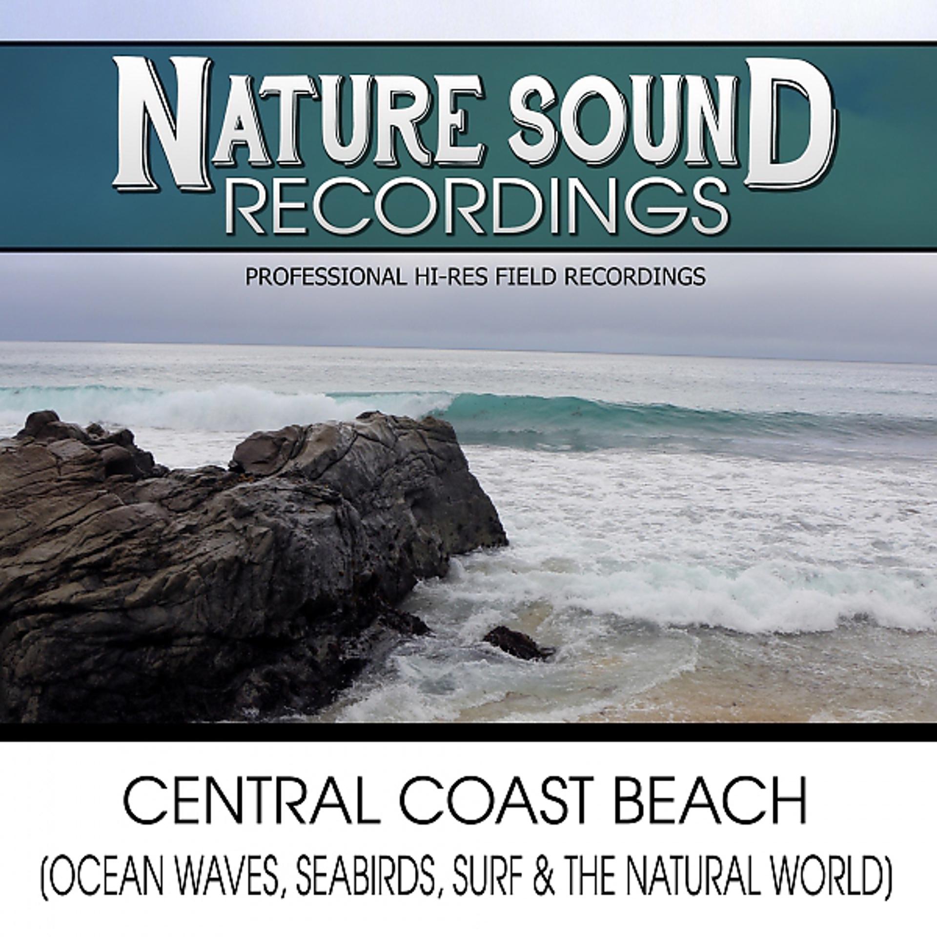 Постер альбома Central Coast Beach (Ocean Waves, Seabirds, Surf & The Natural World)
