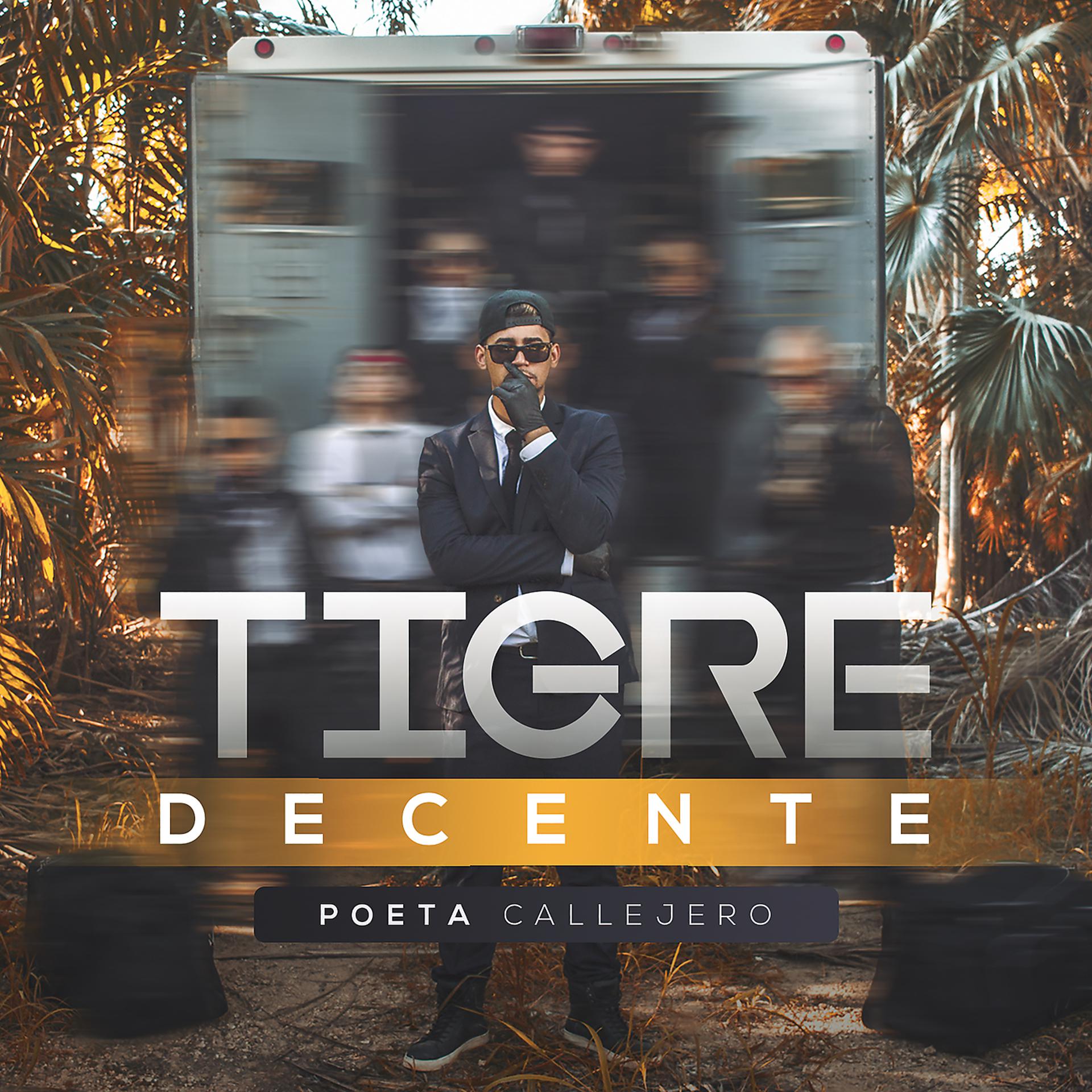 Постер альбома Tigre Decente