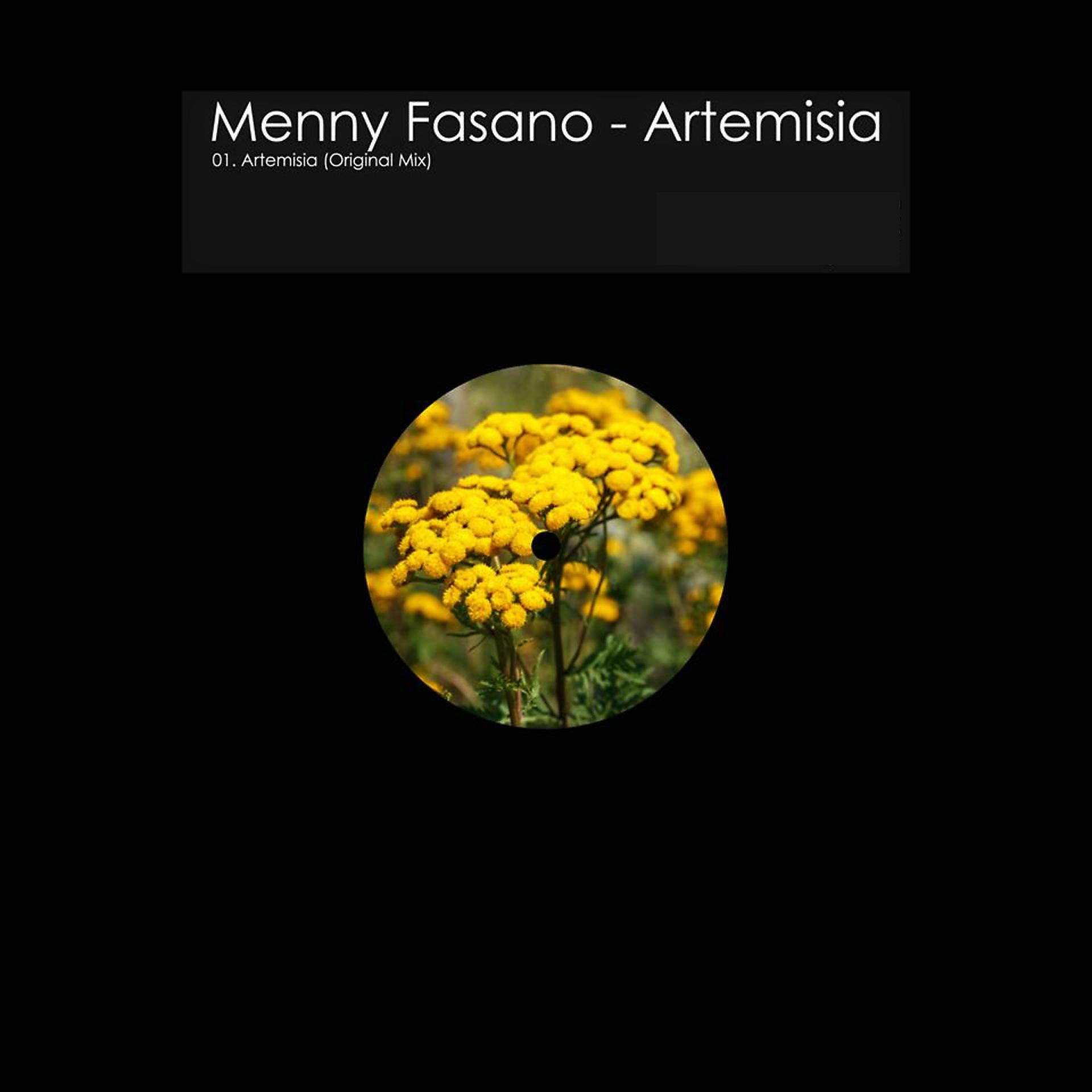 Постер альбома Artemisia