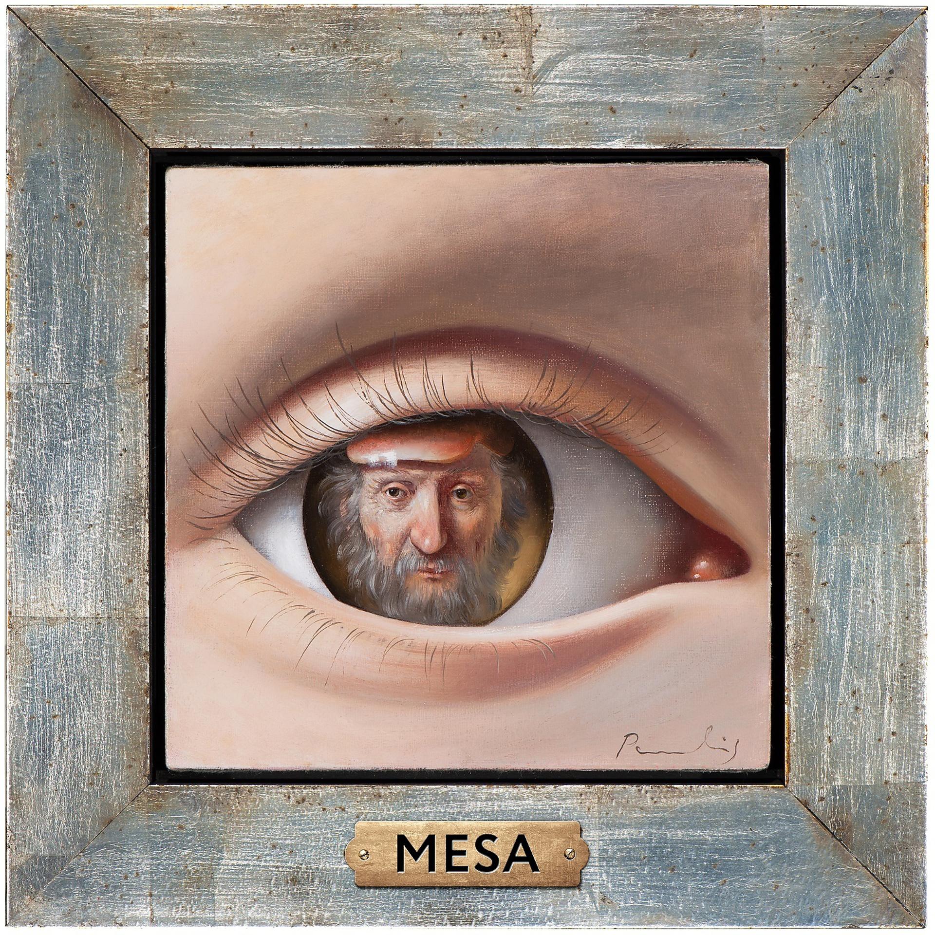 Постер альбома MESA