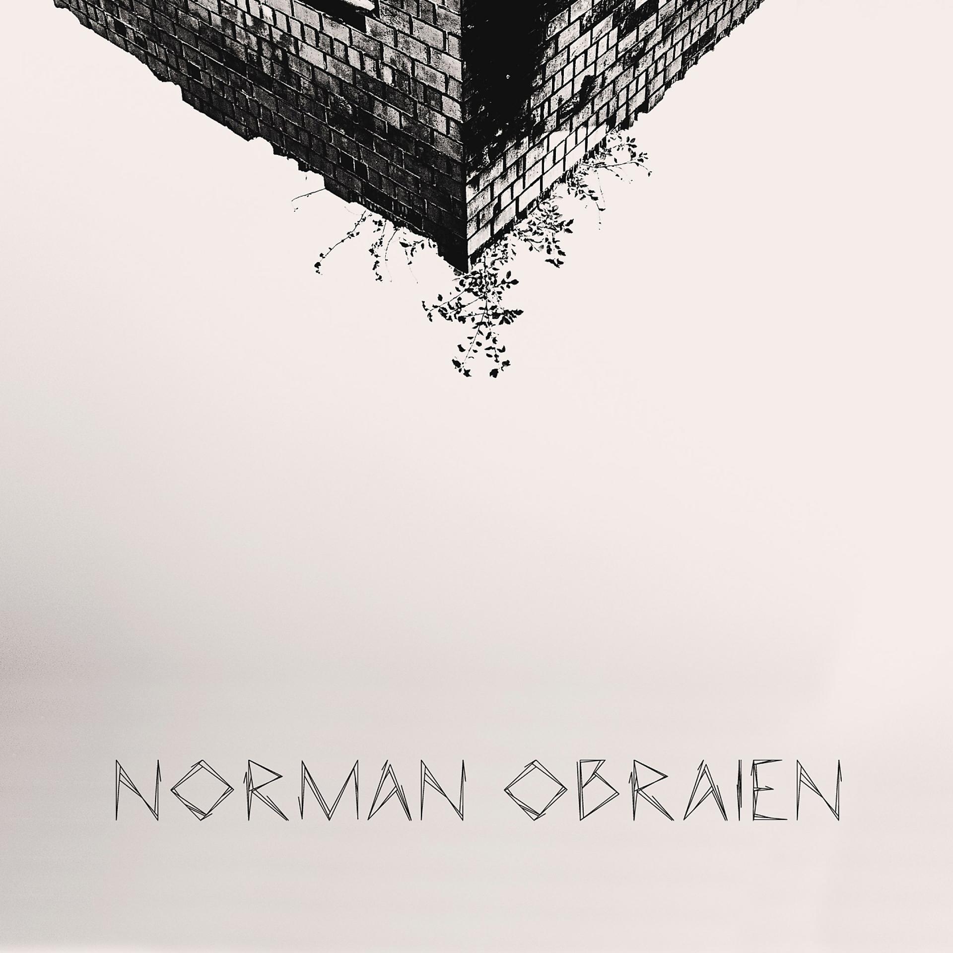 Постер альбома Знакомьтесь, Норман