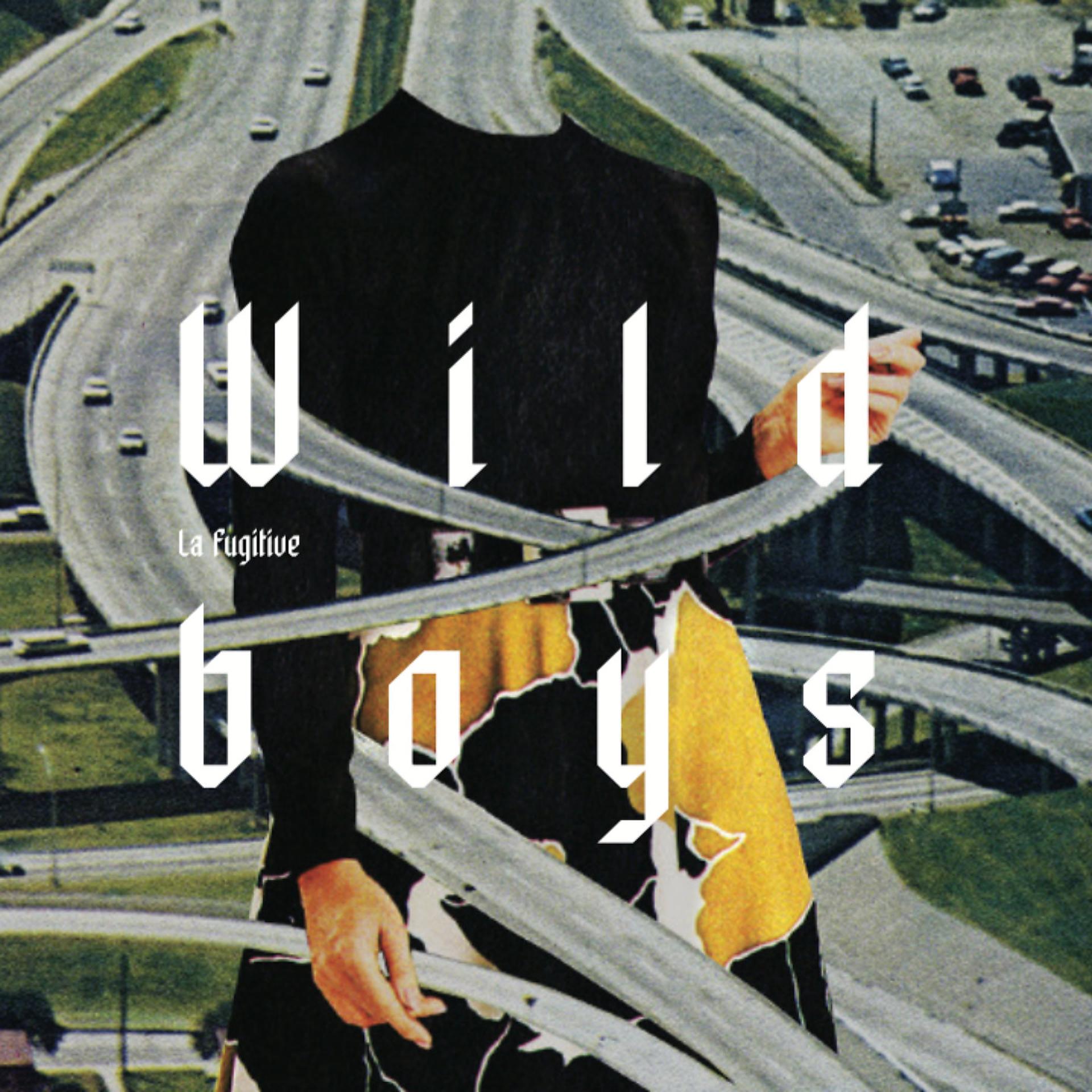 Постер альбома Wild Boys
