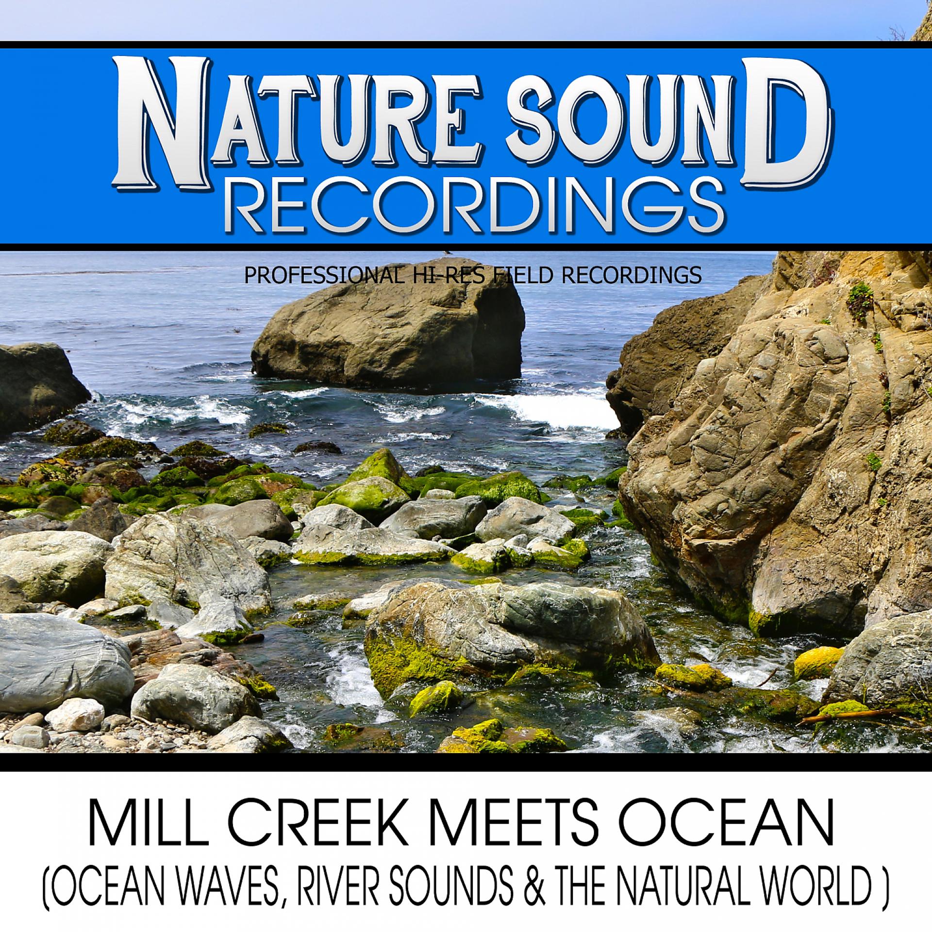 Постер альбома Mill Creek Meets Ocean (Ocean Waves, River Sounds & The Natural World)