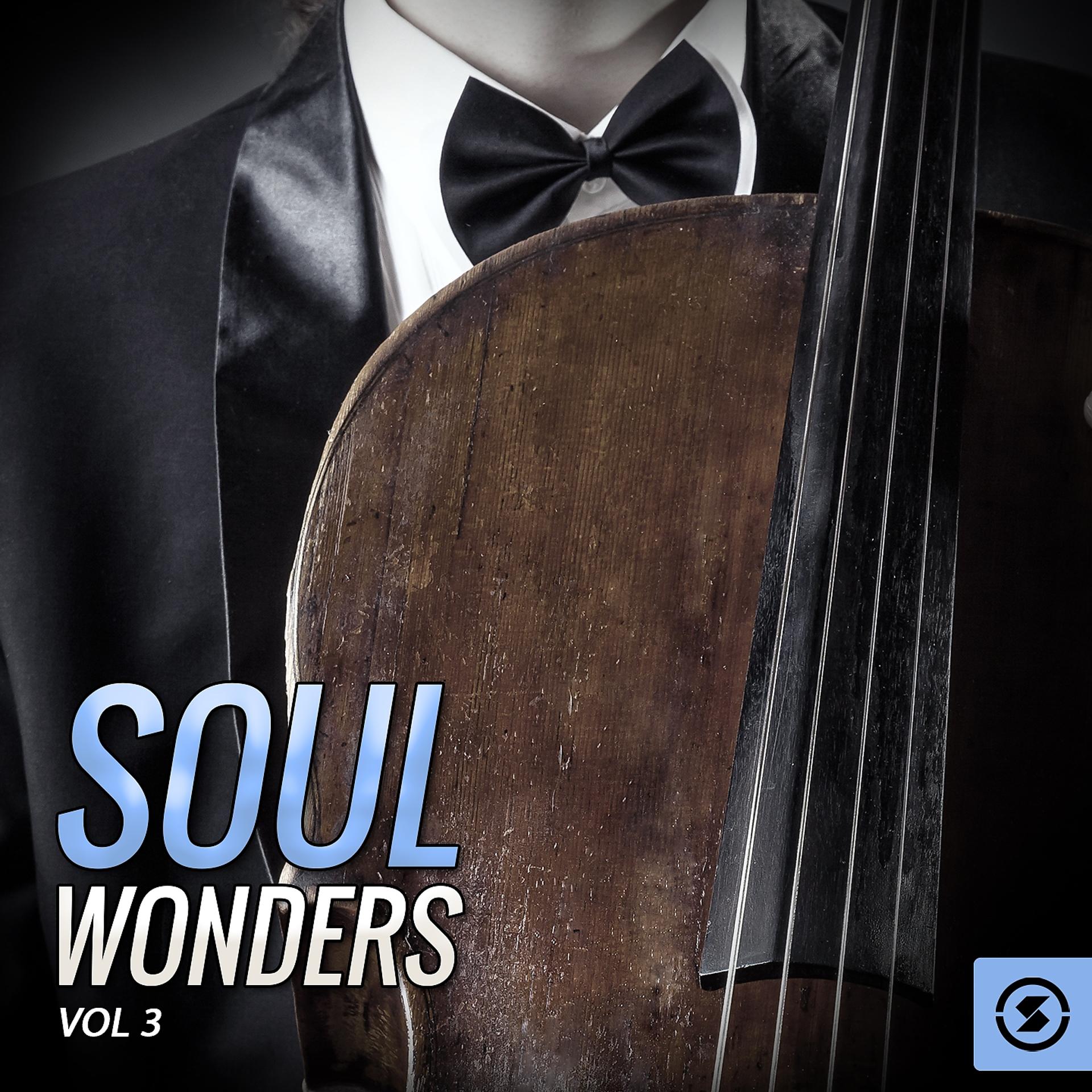 Постер альбома Soul Wonders, Vol. 3