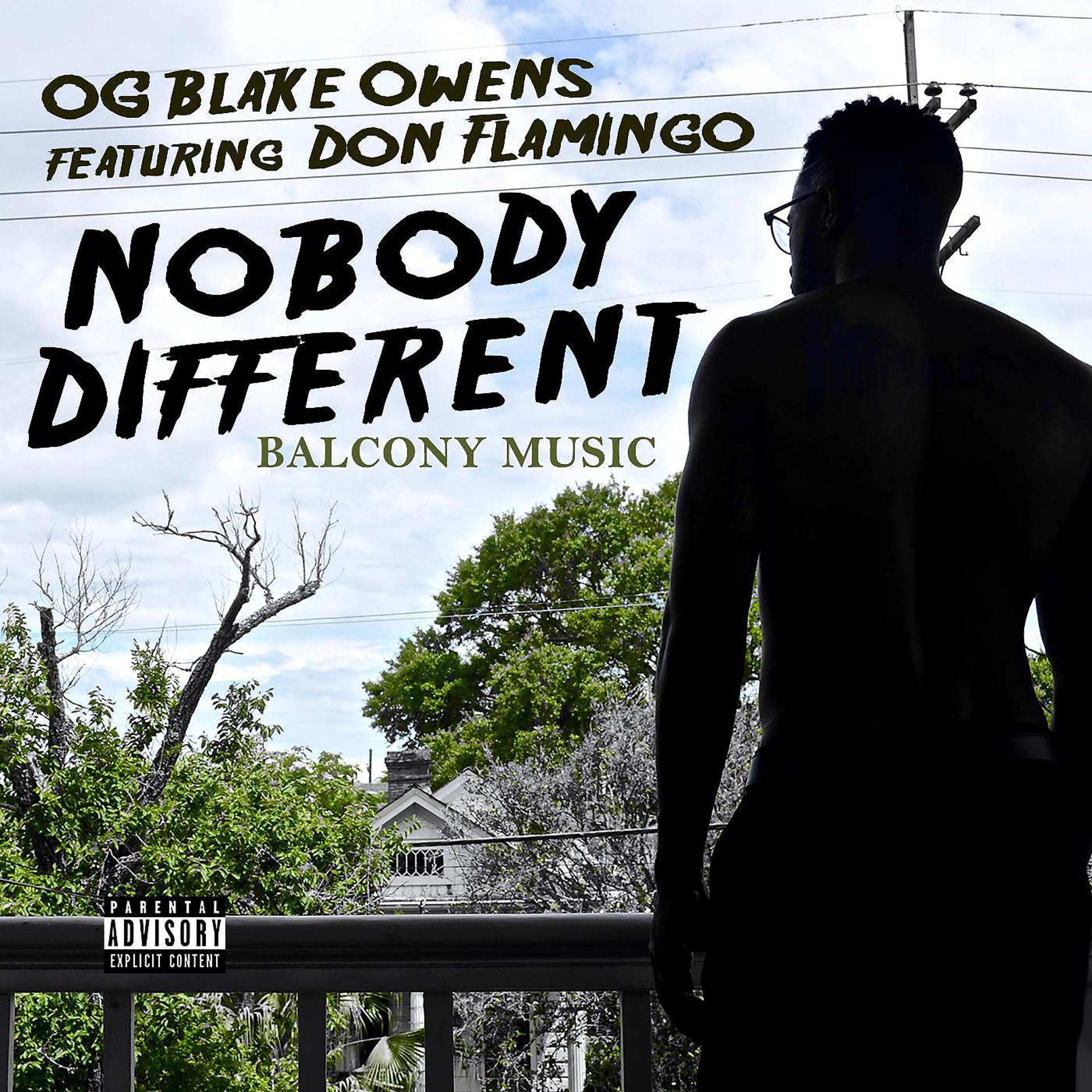 Постер альбома Nobody Different (feat. Don Flamingo)