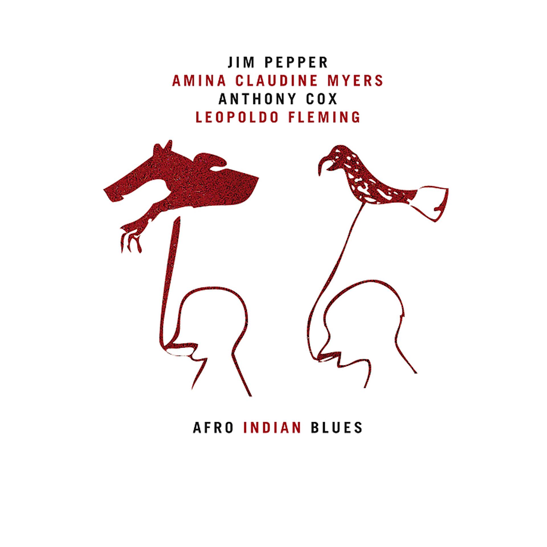 Постер альбома Afro Indian Blues