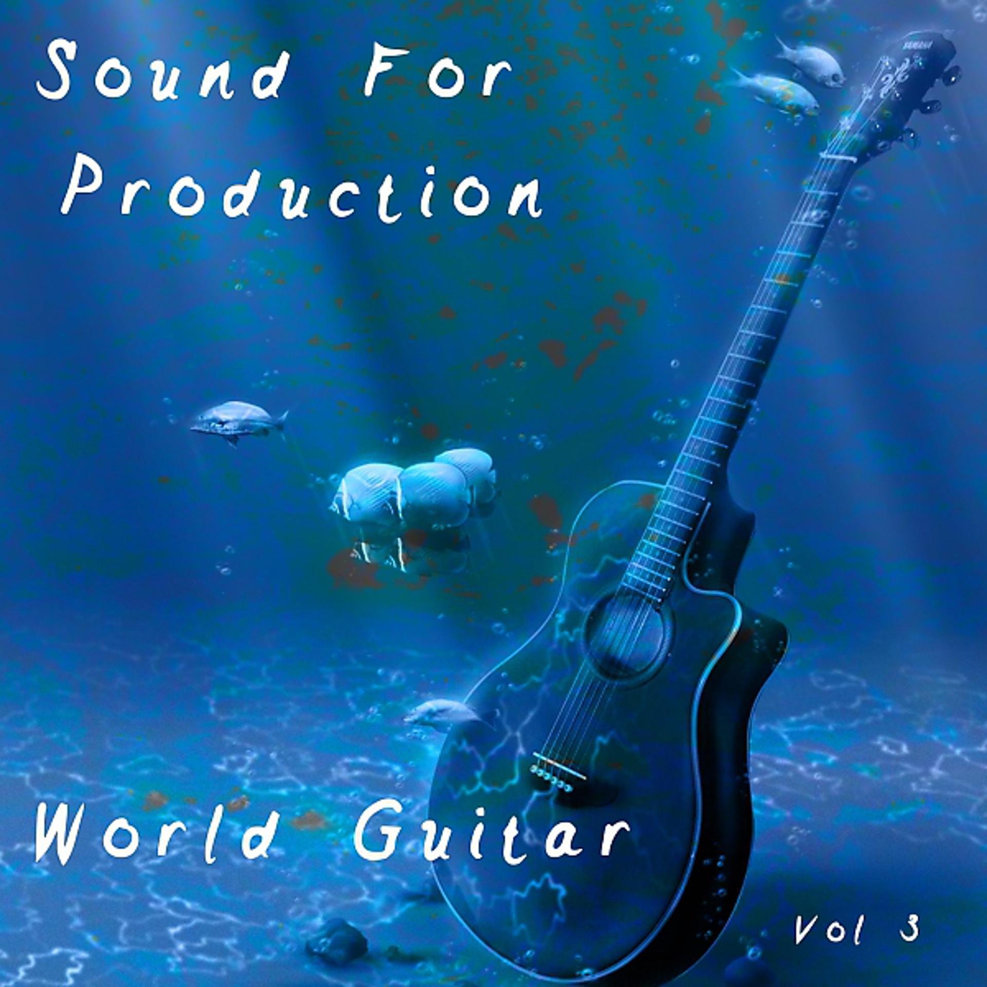 Постер альбома Sound for Production: World Guitar, Vol. 3