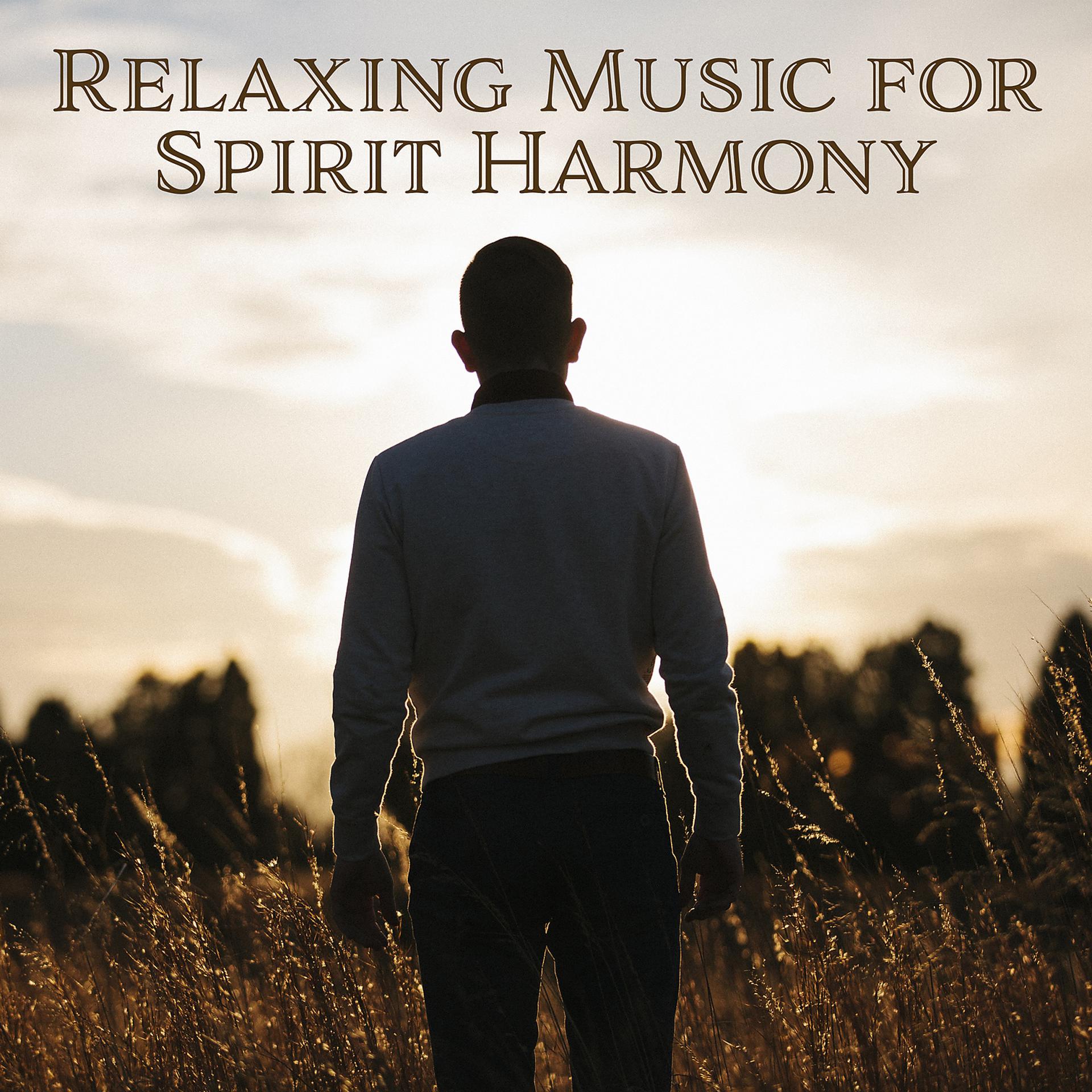 Постер альбома Relaxing Music for Spirit Harmony – Rest a Bit, Nature Calmness, Relax & Meditate, Sensual Music