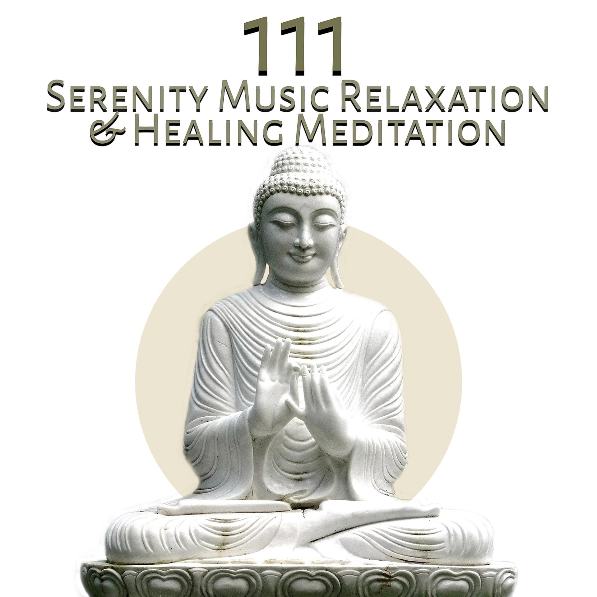 Постер альбома 111 Serenity Music Relaxation & Healing Meditation: Spiritual Music for Mindfulness Training, Harmony, Sounds Therapy for Inner Balance, Quiet Zen Moments, Oasis of Blissful Sleep