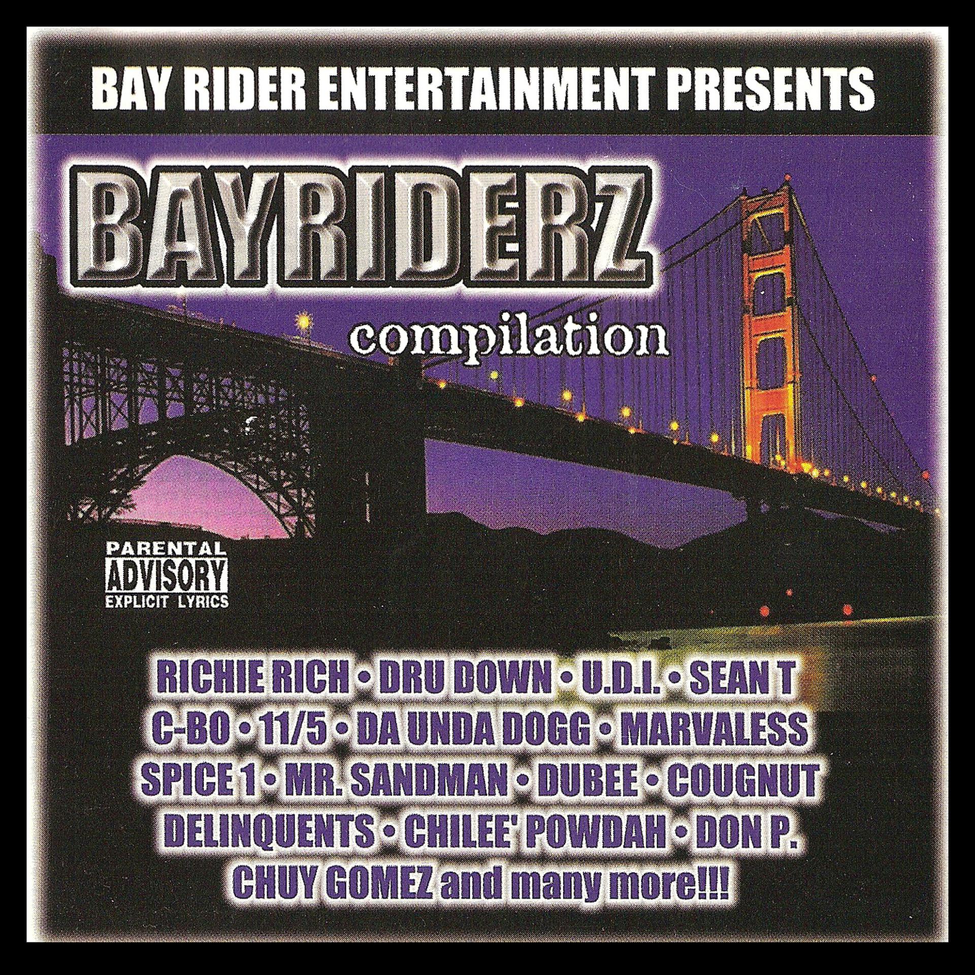 Постер альбома Bayriderz Compilation