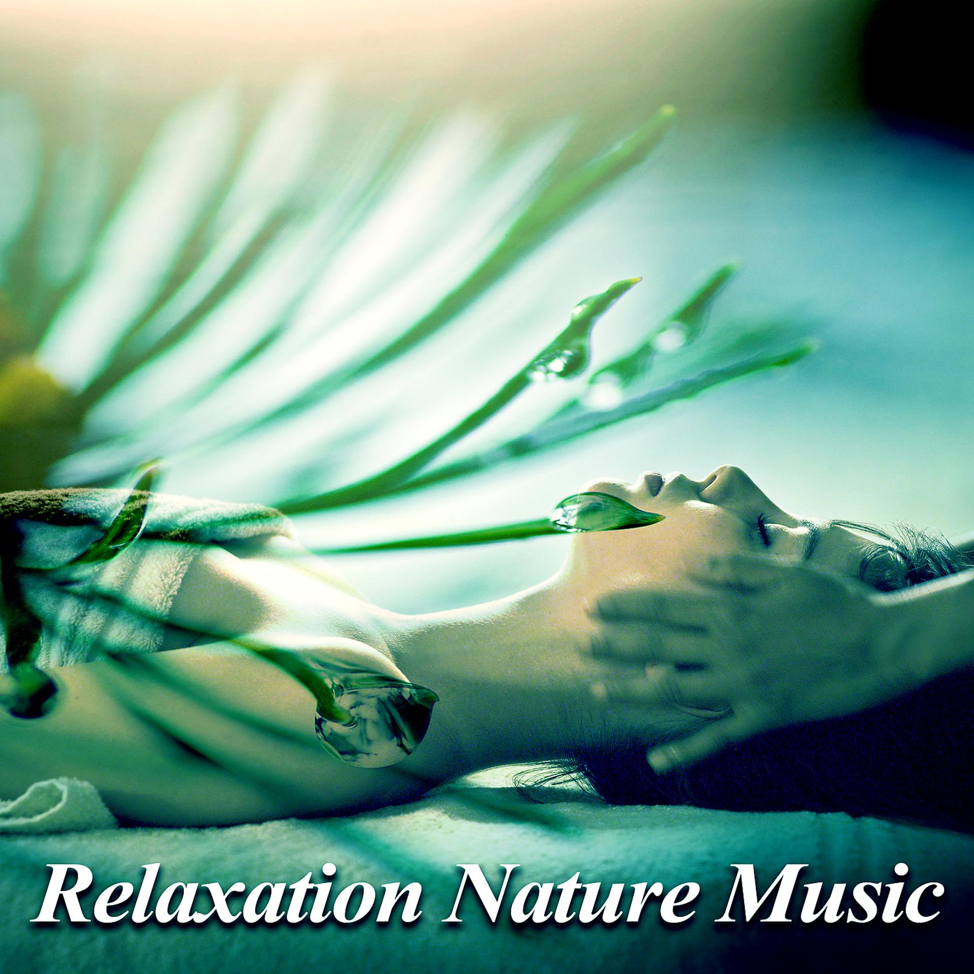 Постер альбома Relaxation Nature Music – New Age for Spa, Serenity Music for Background, Pure Relaxation, Wellness, Pure Instrumental Sounds