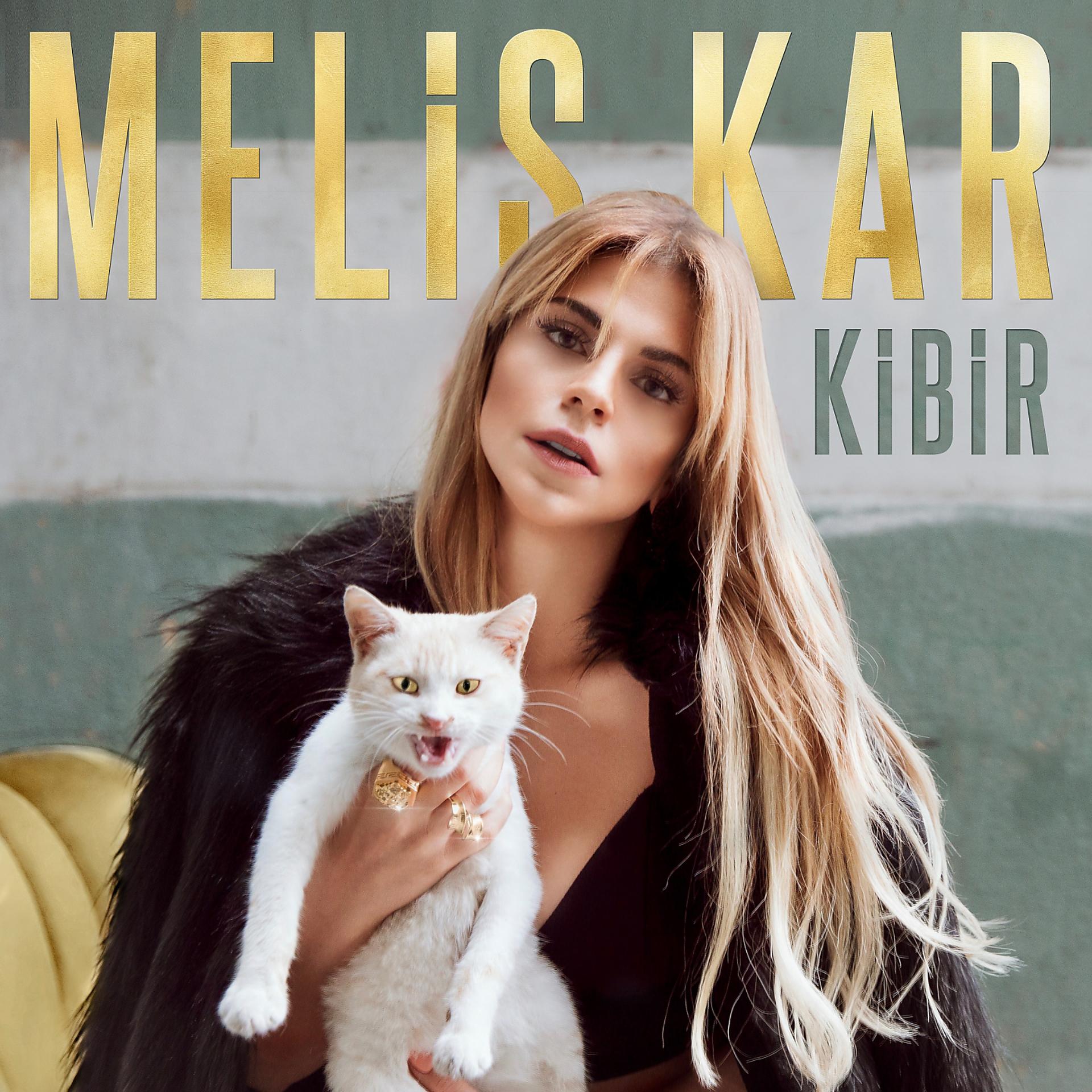 Постер альбома Kibir