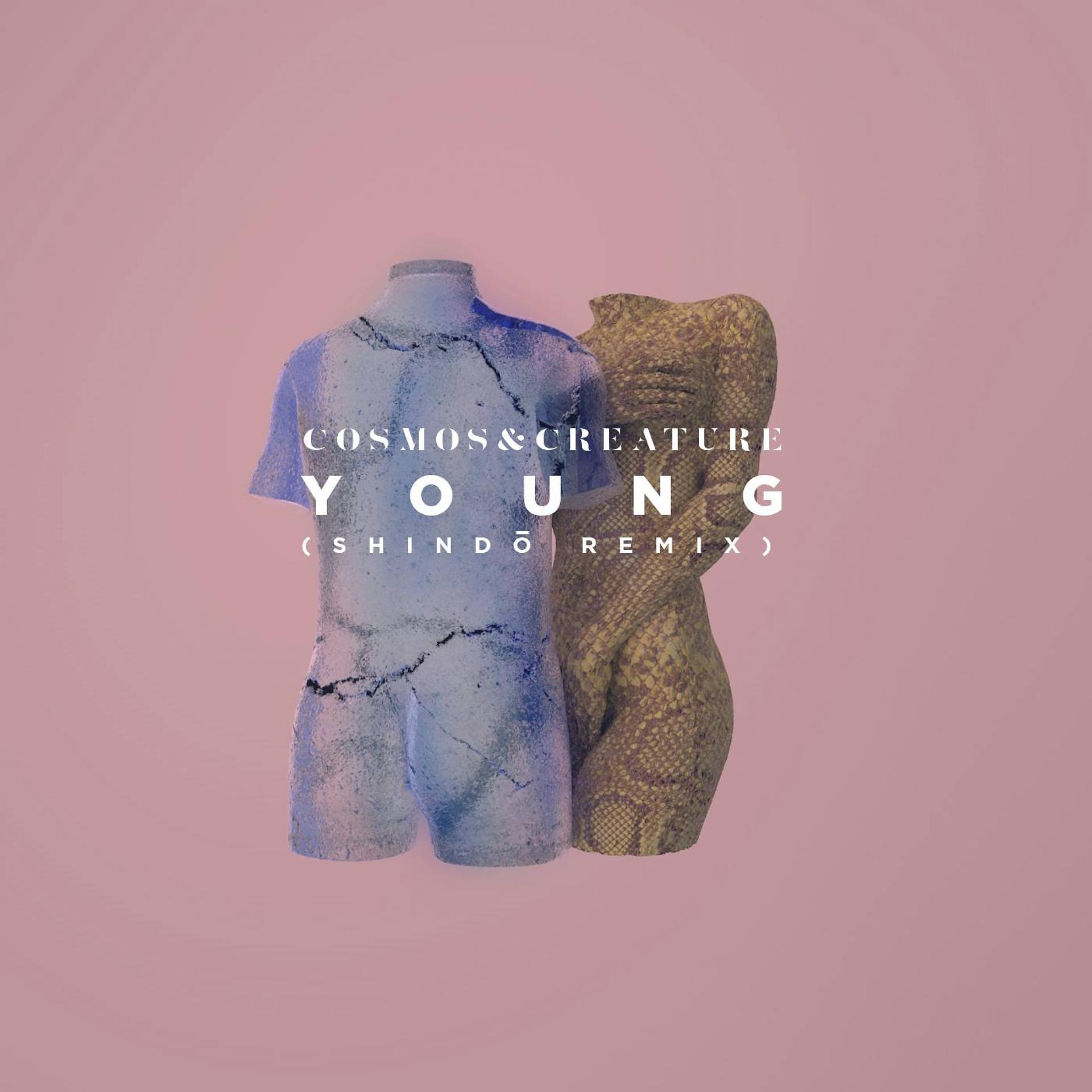 Постер альбома Young (Shindō Remix)