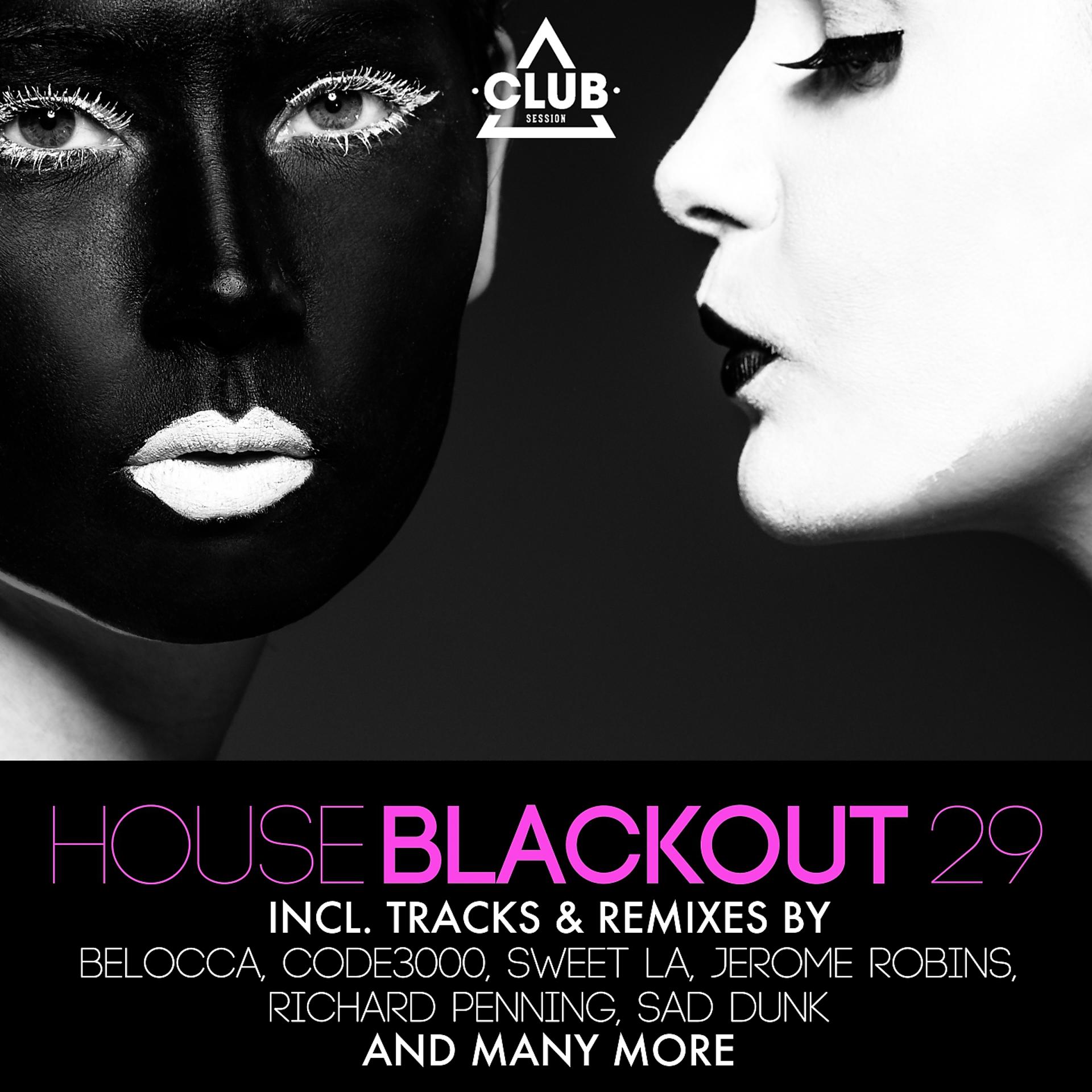 Постер альбома House Blackout, Vol. 29