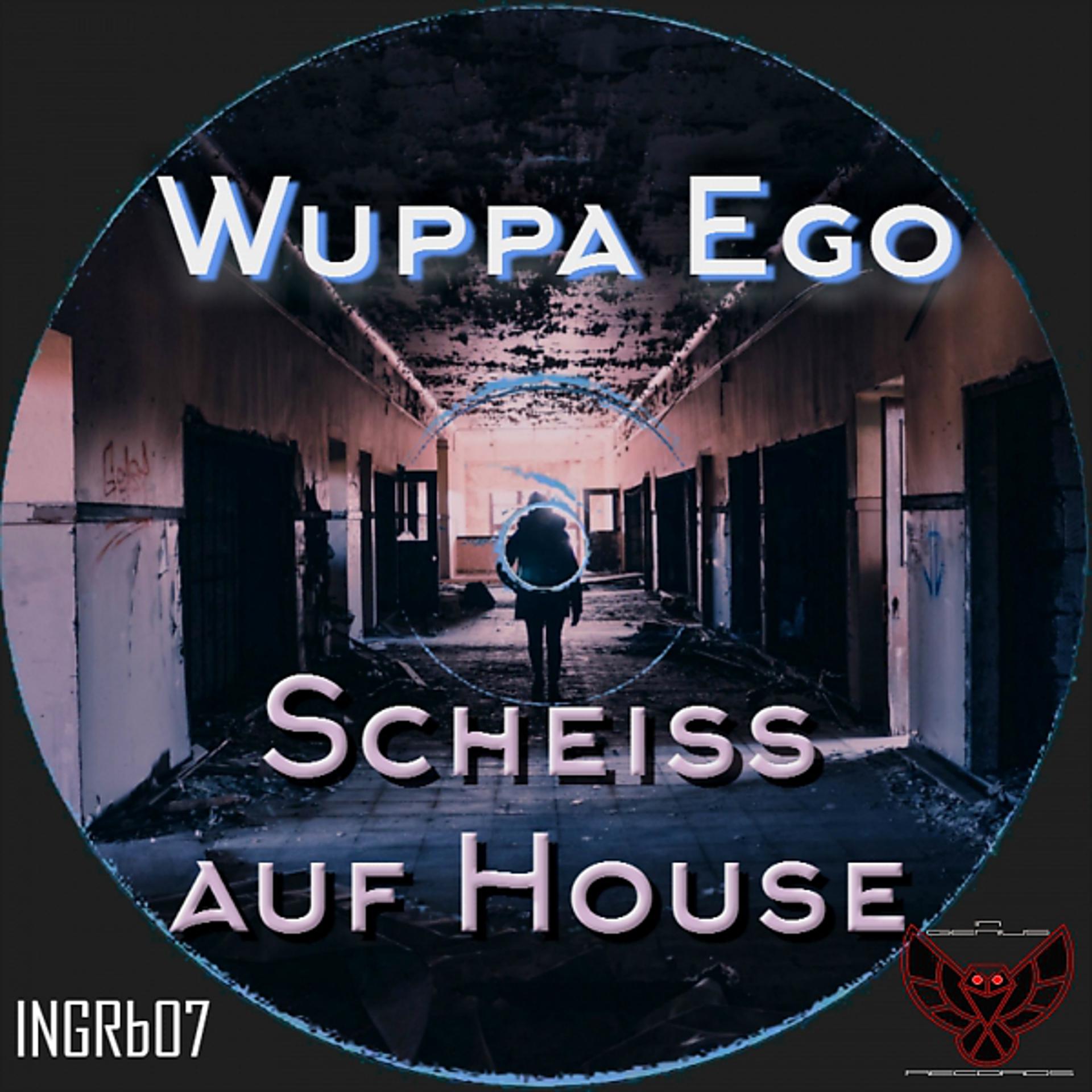 Постер альбома Scheiss auf House