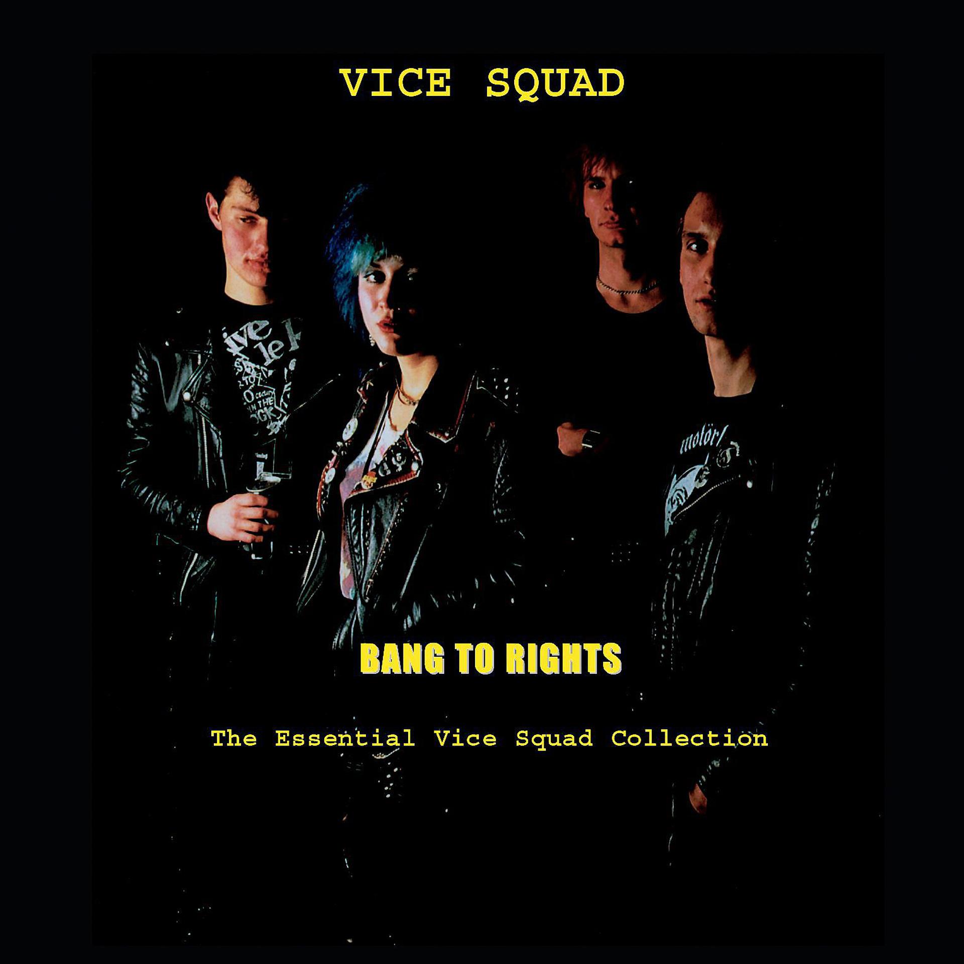 Постер альбома Bang To Rights: The Essential Vice Squad Collection