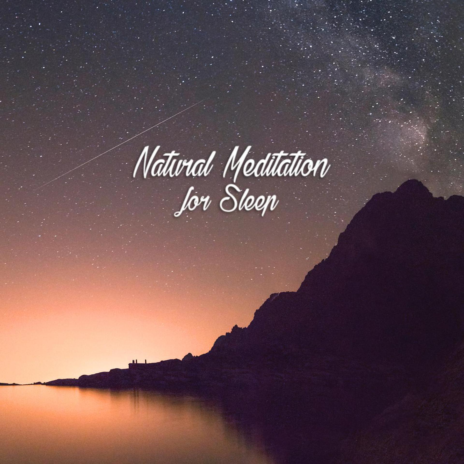 Постер альбома Natural Meditation for Sleep
