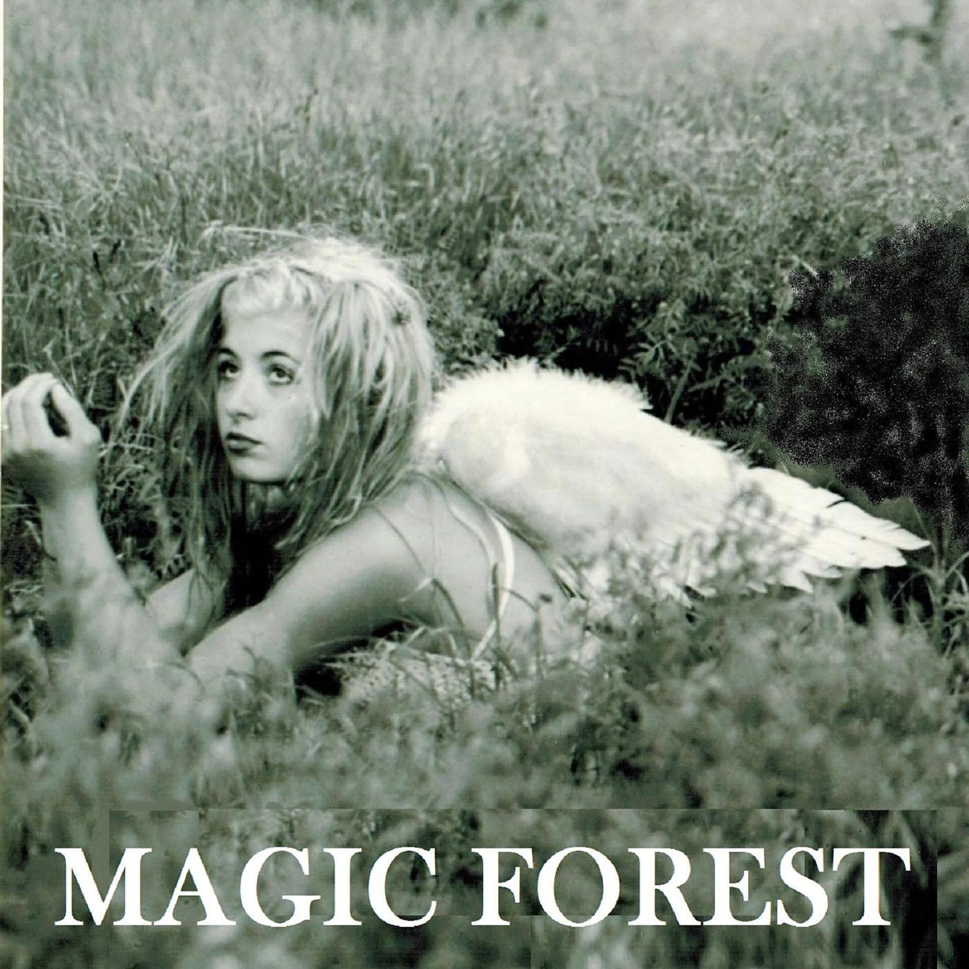 Постер альбома Magic Forest