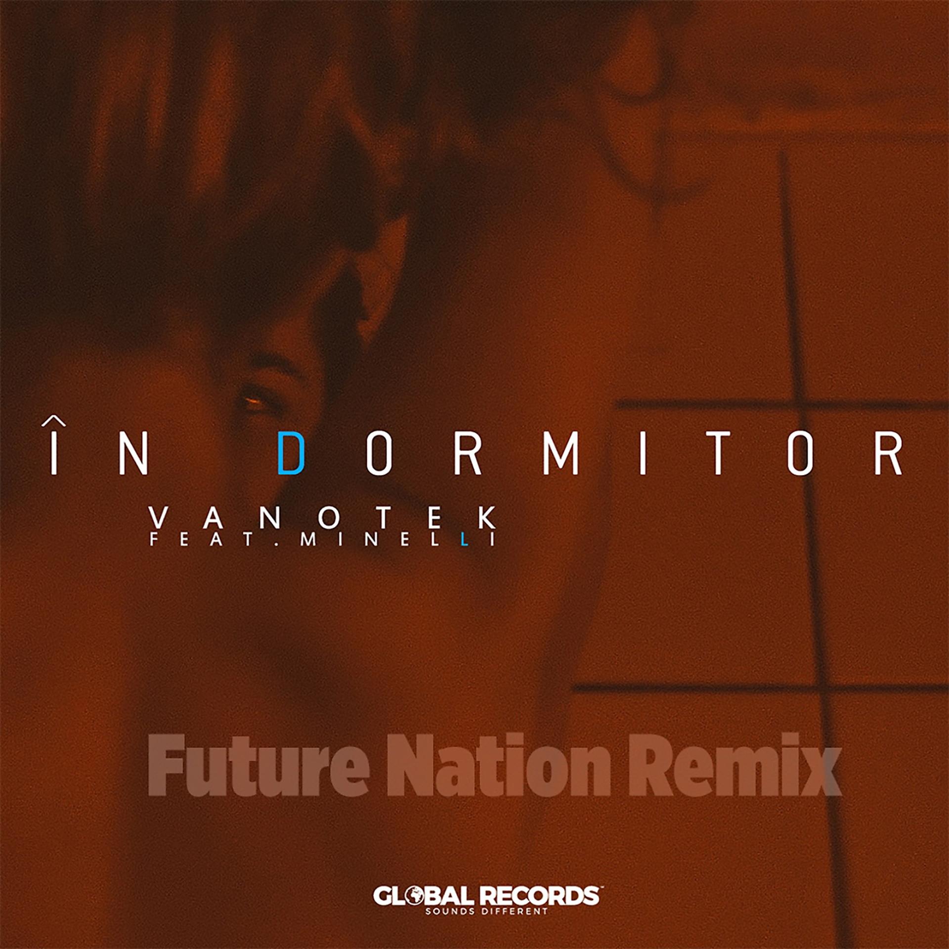 Постер к треку Vanotek, Minelli - In Dormitor (Future Nation Remix)