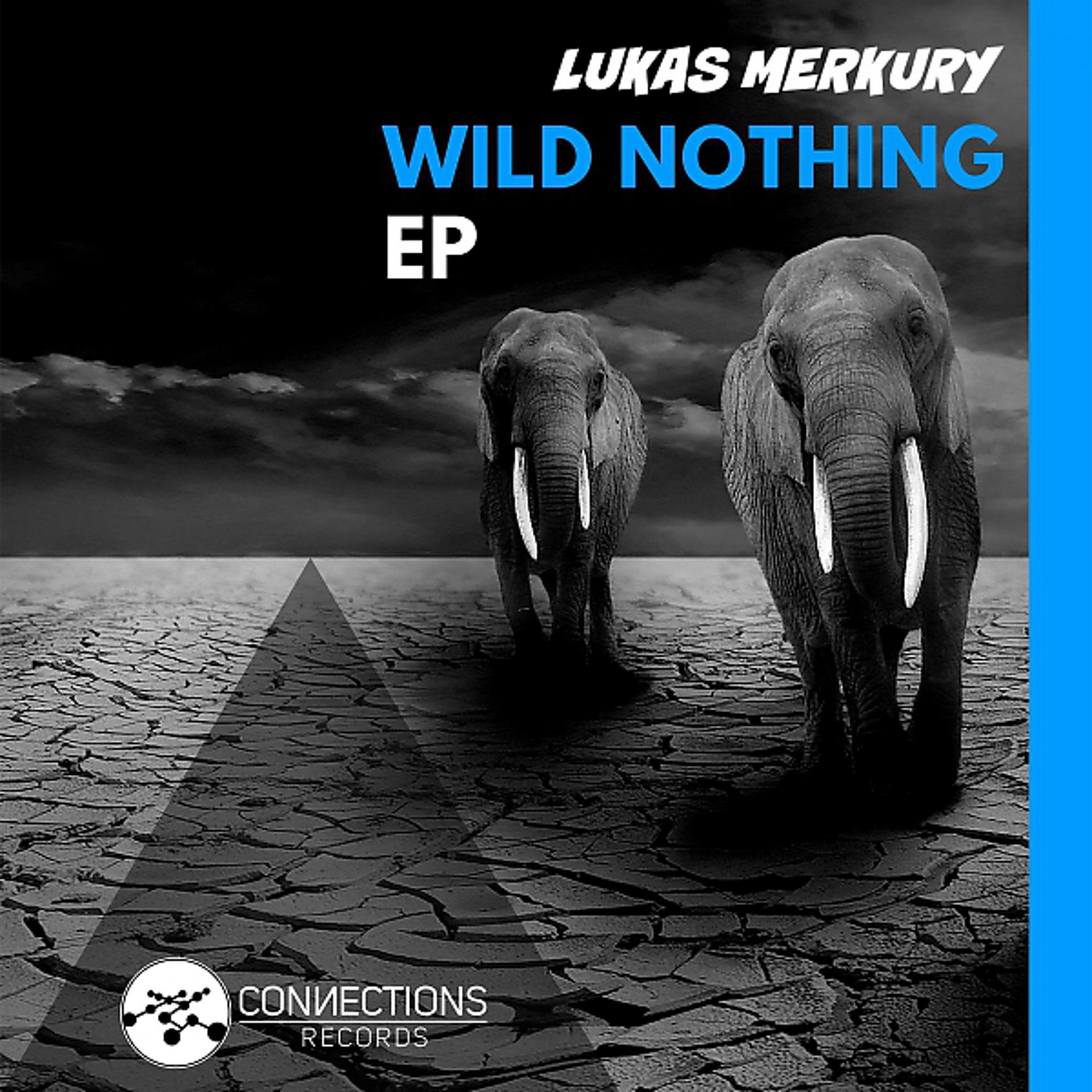 Постер альбома Wild Nothing EP