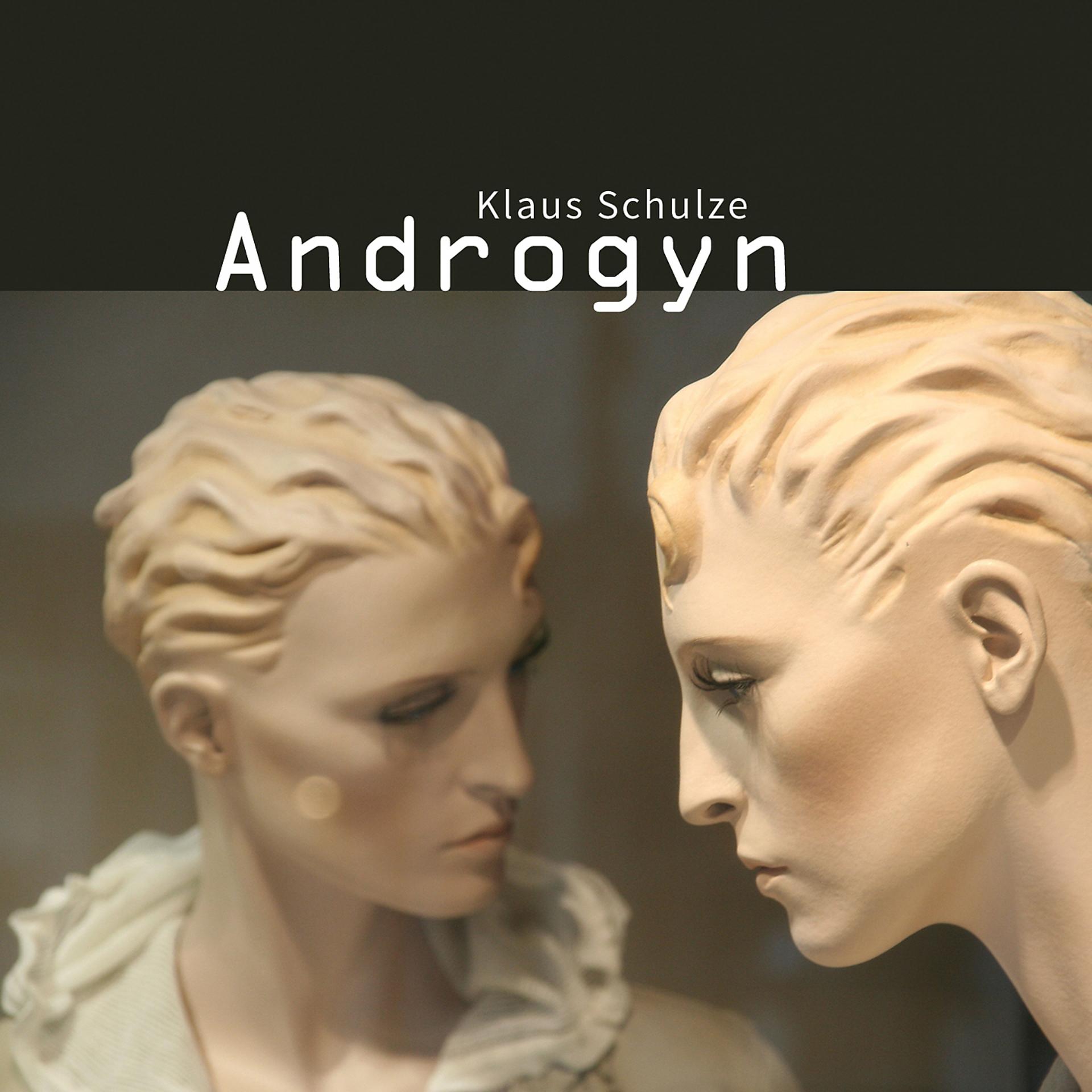 Постер альбома Androgyn