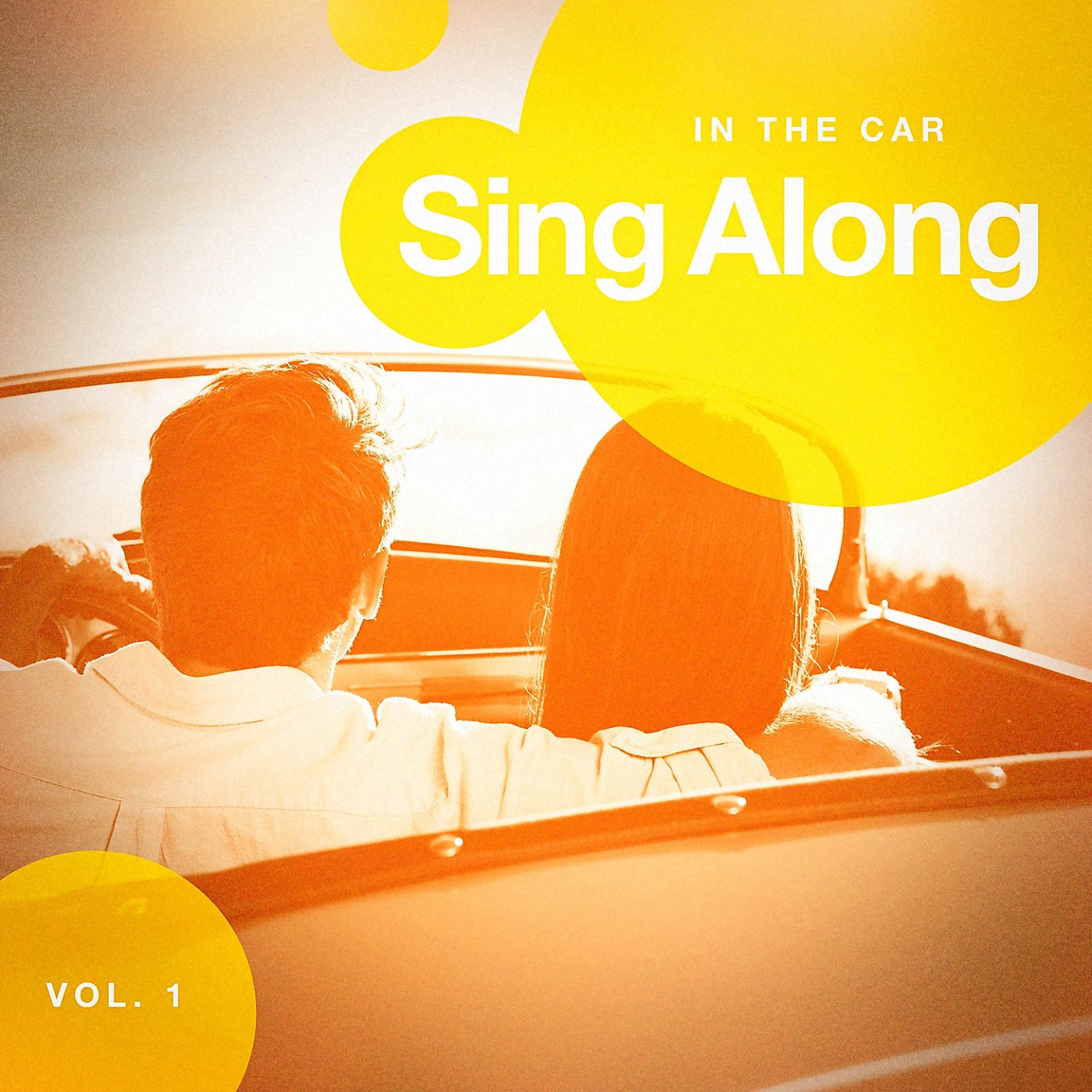 Постер альбома Sing Along in the Car, Vol. 2