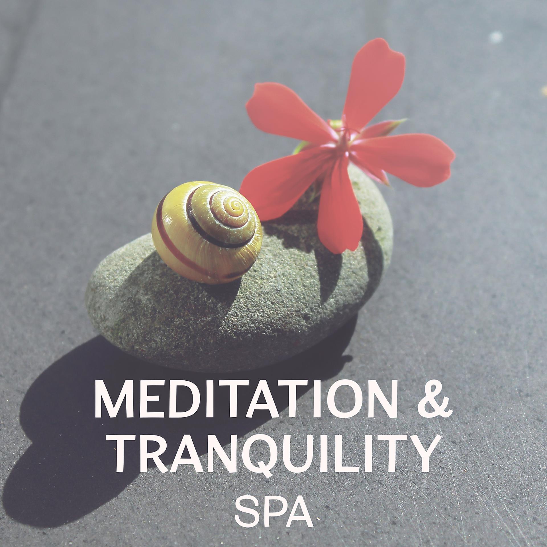 Постер альбома Meditation & Tranquility Spa – Relaxation and Meditate on the Good Start to the Day, Wellness and Yoga