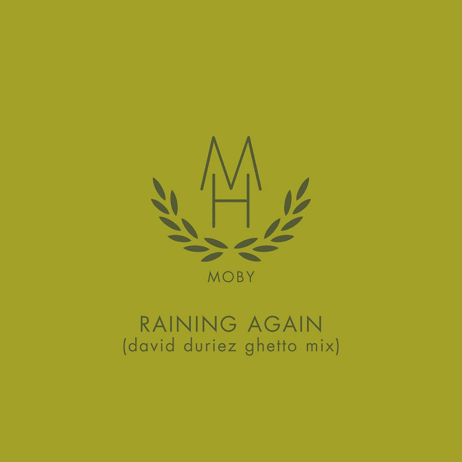 Постер альбома Raining Again (David Duriez Ghetto Mix)