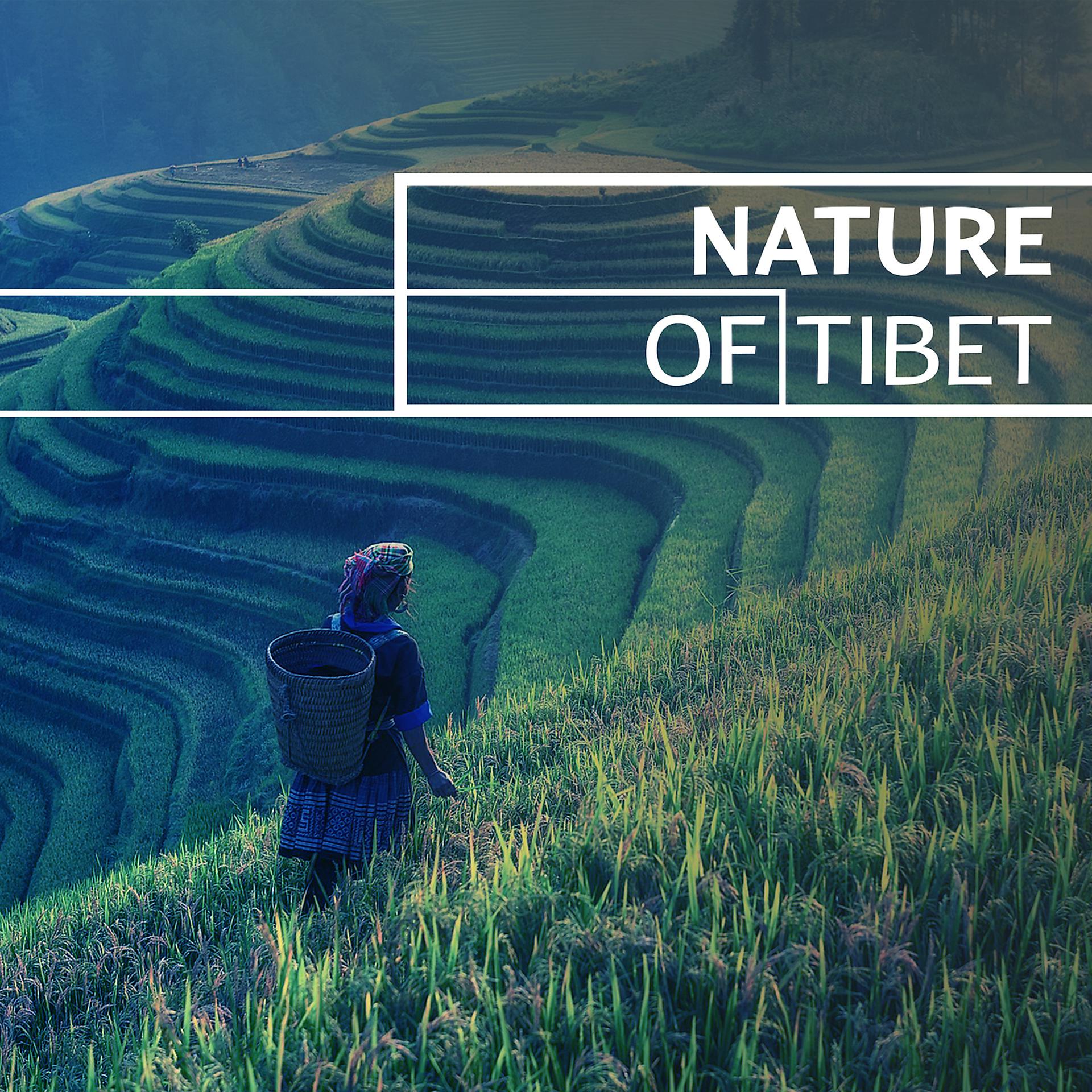 Постер альбома Nature of Tibet - Monks Science, Longevity, Moment to Breath, Curiosity and Experience, Greatest Exercise, Yoga Secrets