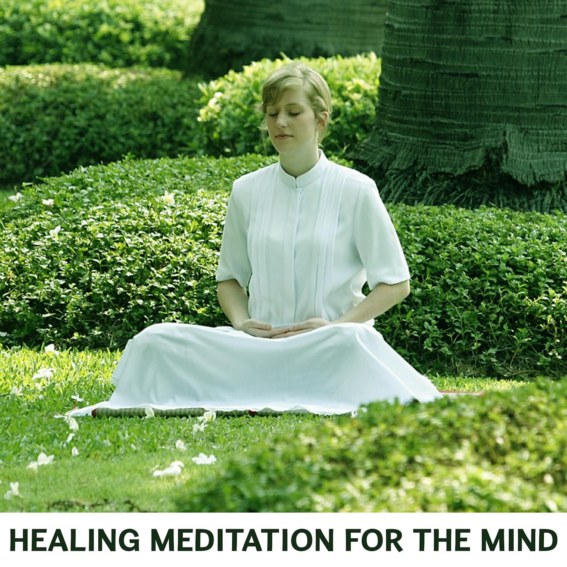 Постер альбома Healing Meditation for the Mind – Calm Music for Mindful Meditation, Be Present, Mindfulness, Heal Your Mind