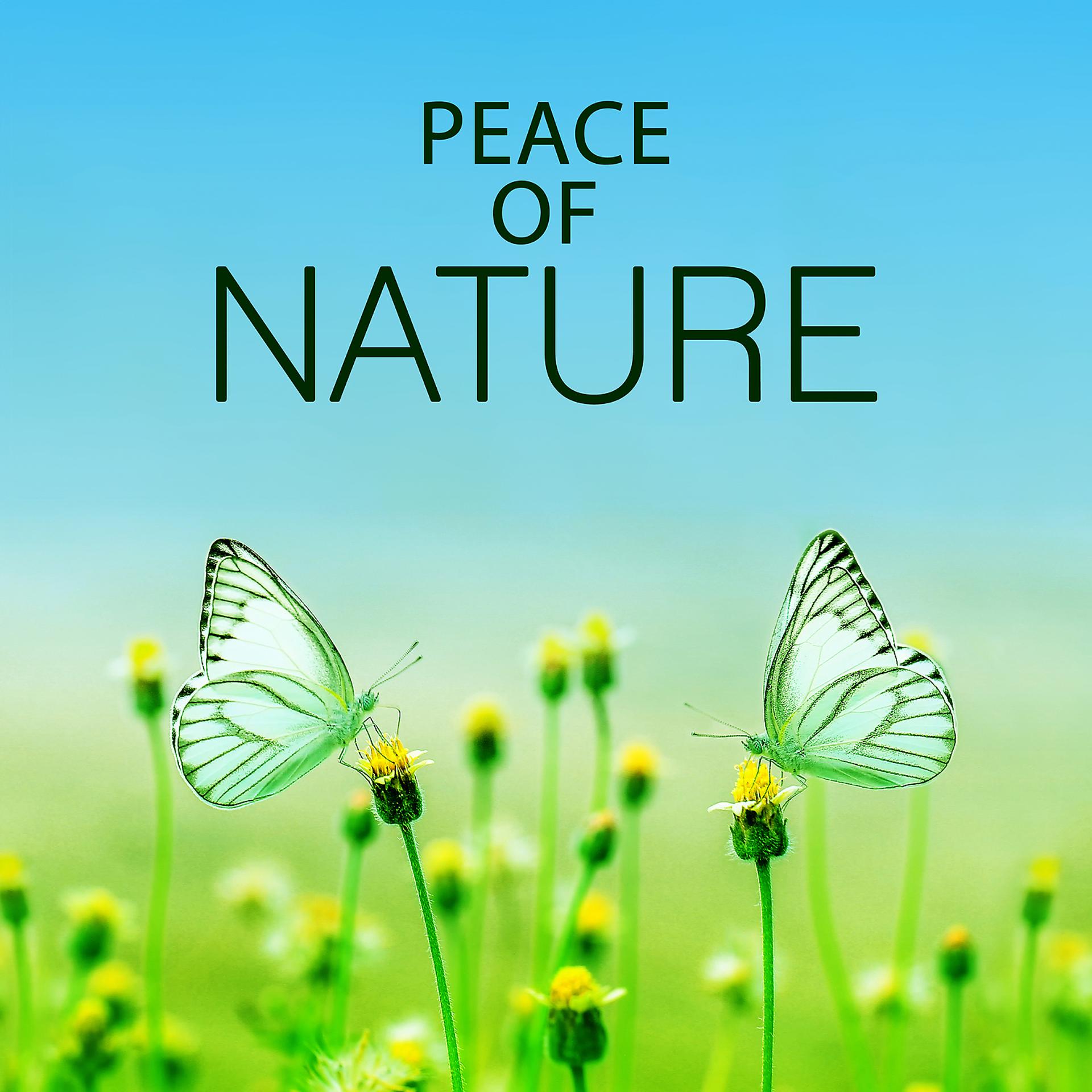Постер альбома Peace of Nature – Calm Nature Sounds for Relaxation, Natural Life Music, Relax on the Meadow, Forest Sounds