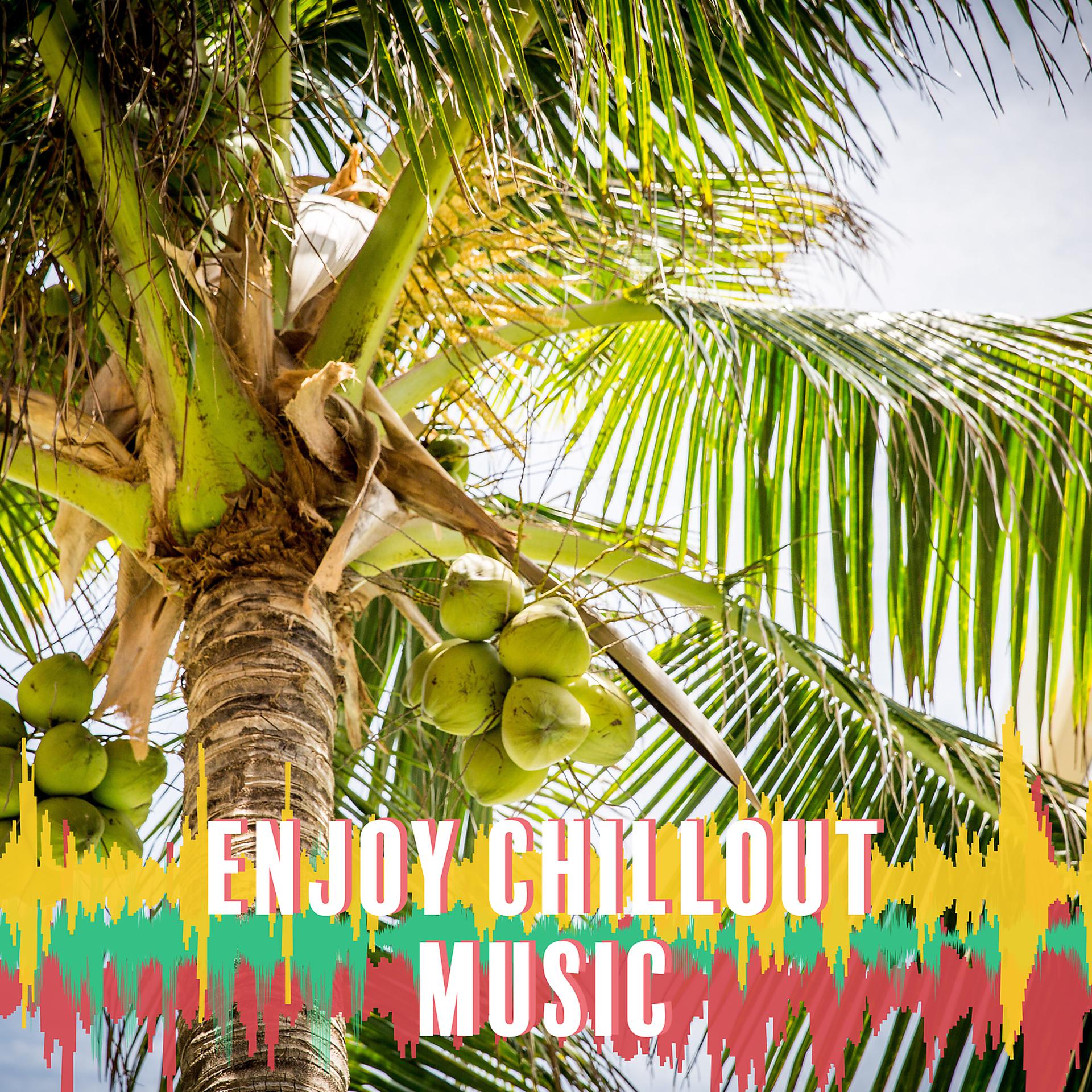 Постер альбома Enjoy Chillout Music – Ambient Electronic Music, Chillout Music for Party, Enjoy Yourself, Party Holiday Music