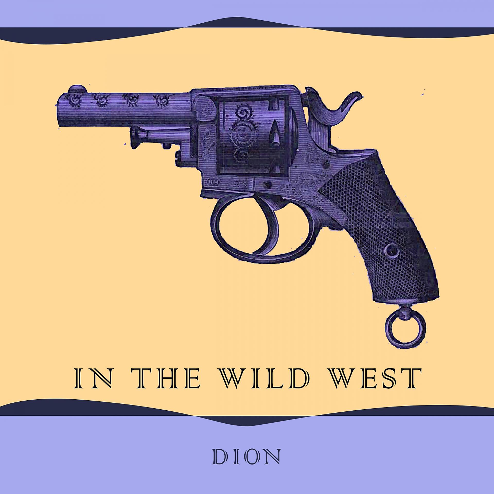 Постер альбома In The Wild West