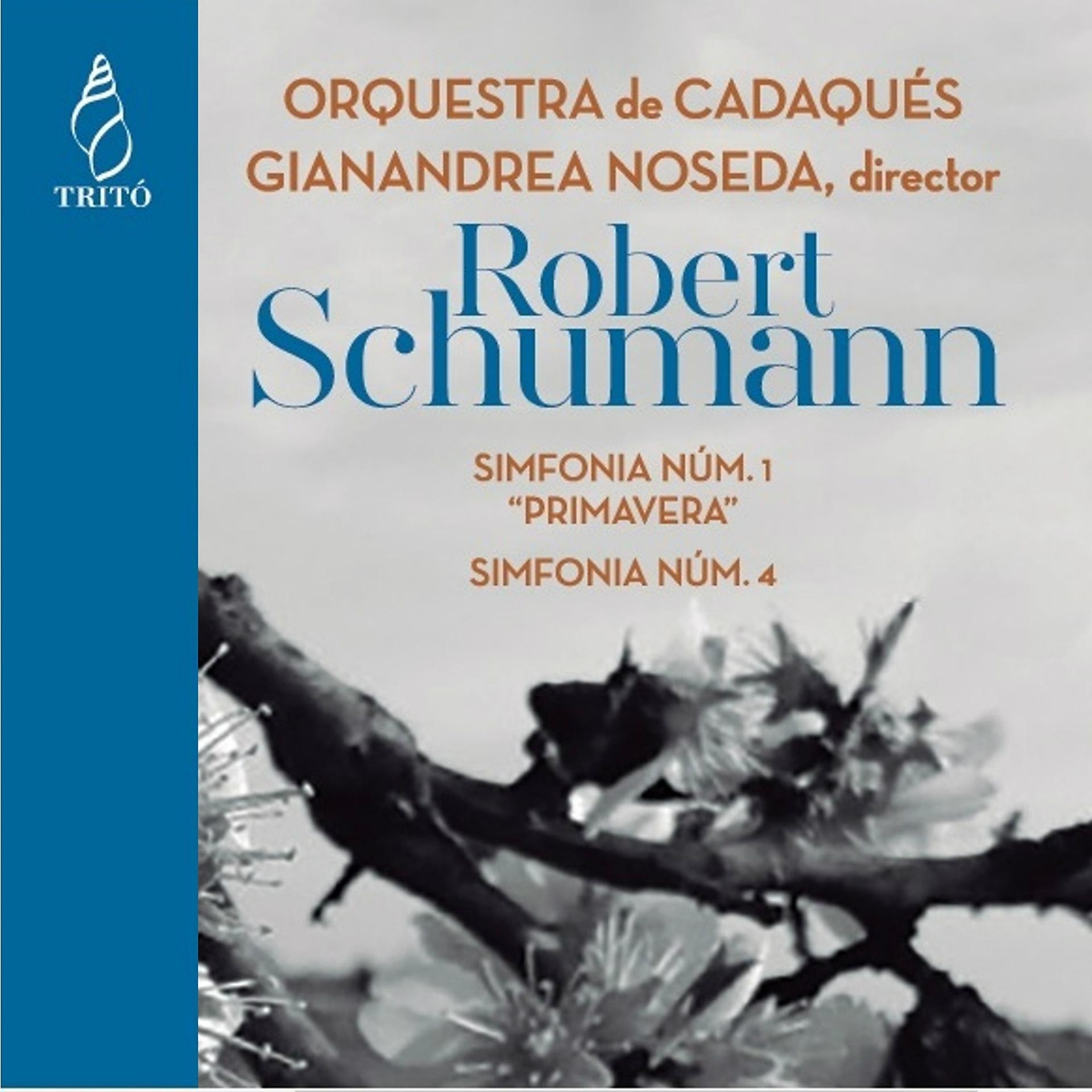 Постер альбома Schumann: Symphonies Nos. 1 & 4
