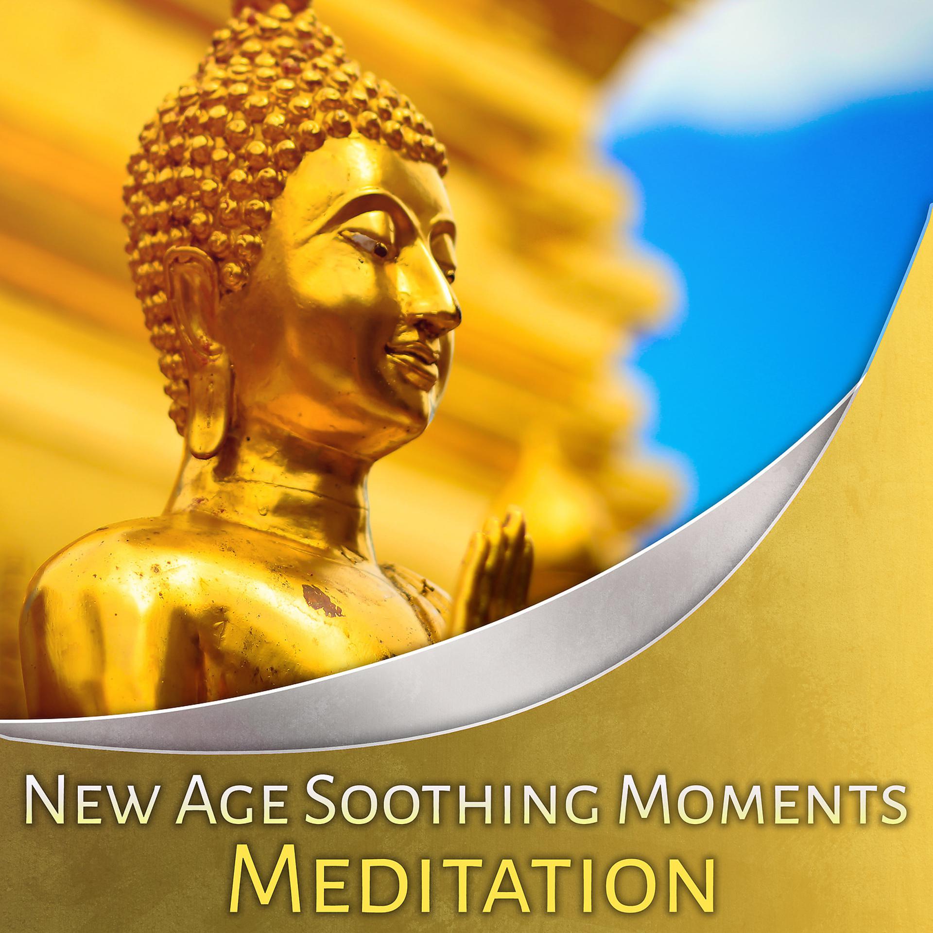 Постер альбома New Age Soothing Moments: Meditation - Asian Zen Moods, Music for Soul Healing, Yoga Meditation, Zen Relaxation, Reiki Serenity & Restful Sleep
