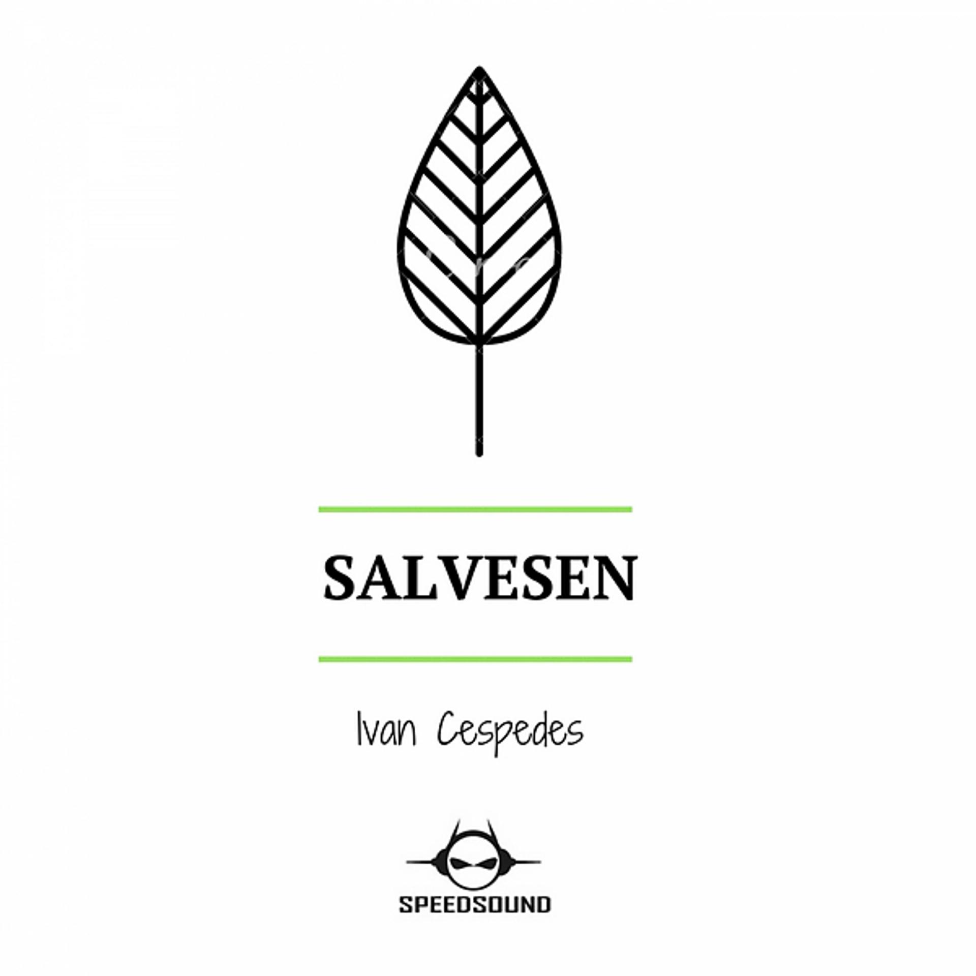 Постер альбома Salvesen