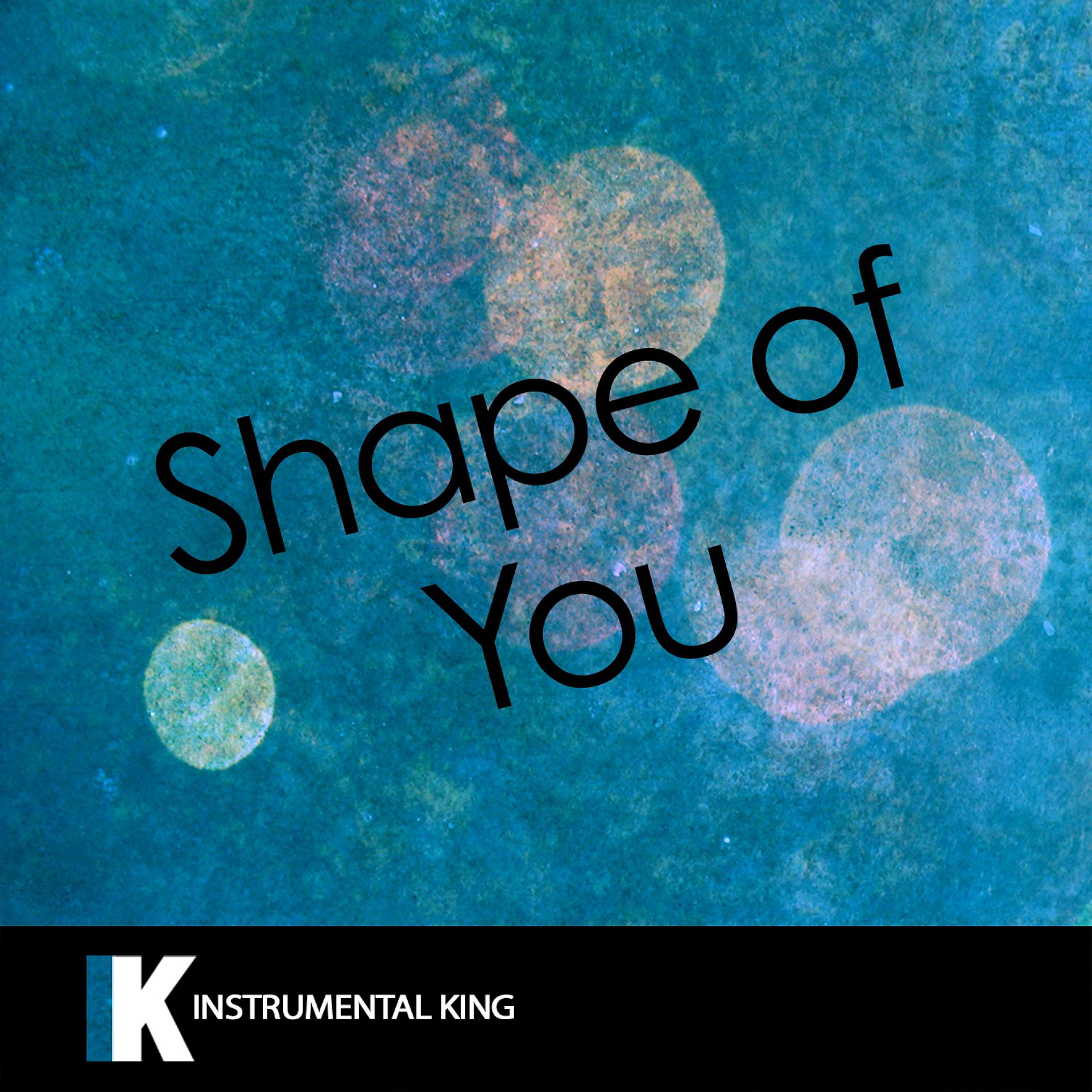 Постер альбома Shape of You (In the Style of Ed Sheeran) [Karaoke Version]