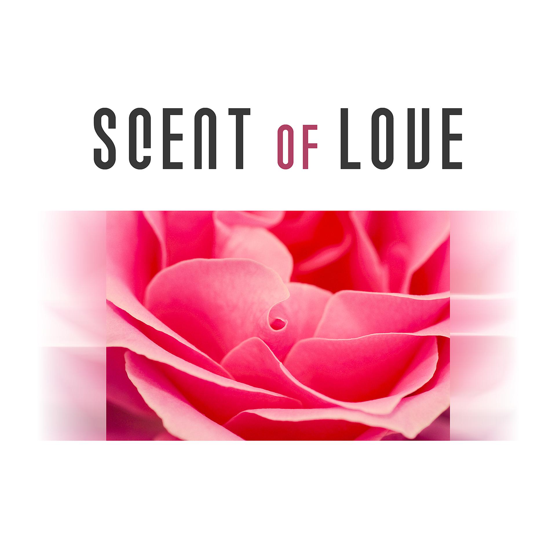 Постер альбома Scent of Love - Rush Petals Roses, Dry Red Wine, Romantic Time, Lovers Together